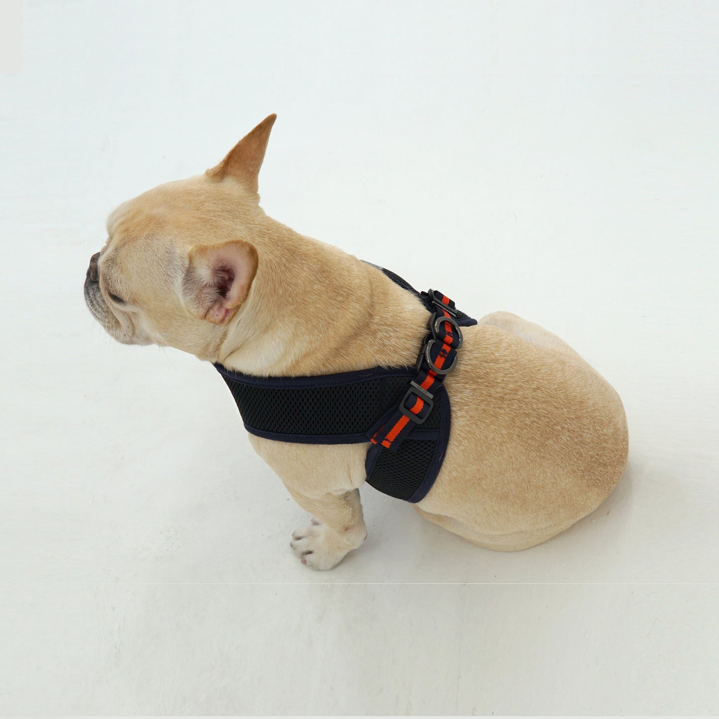 EAZY CONTROL HARNESS