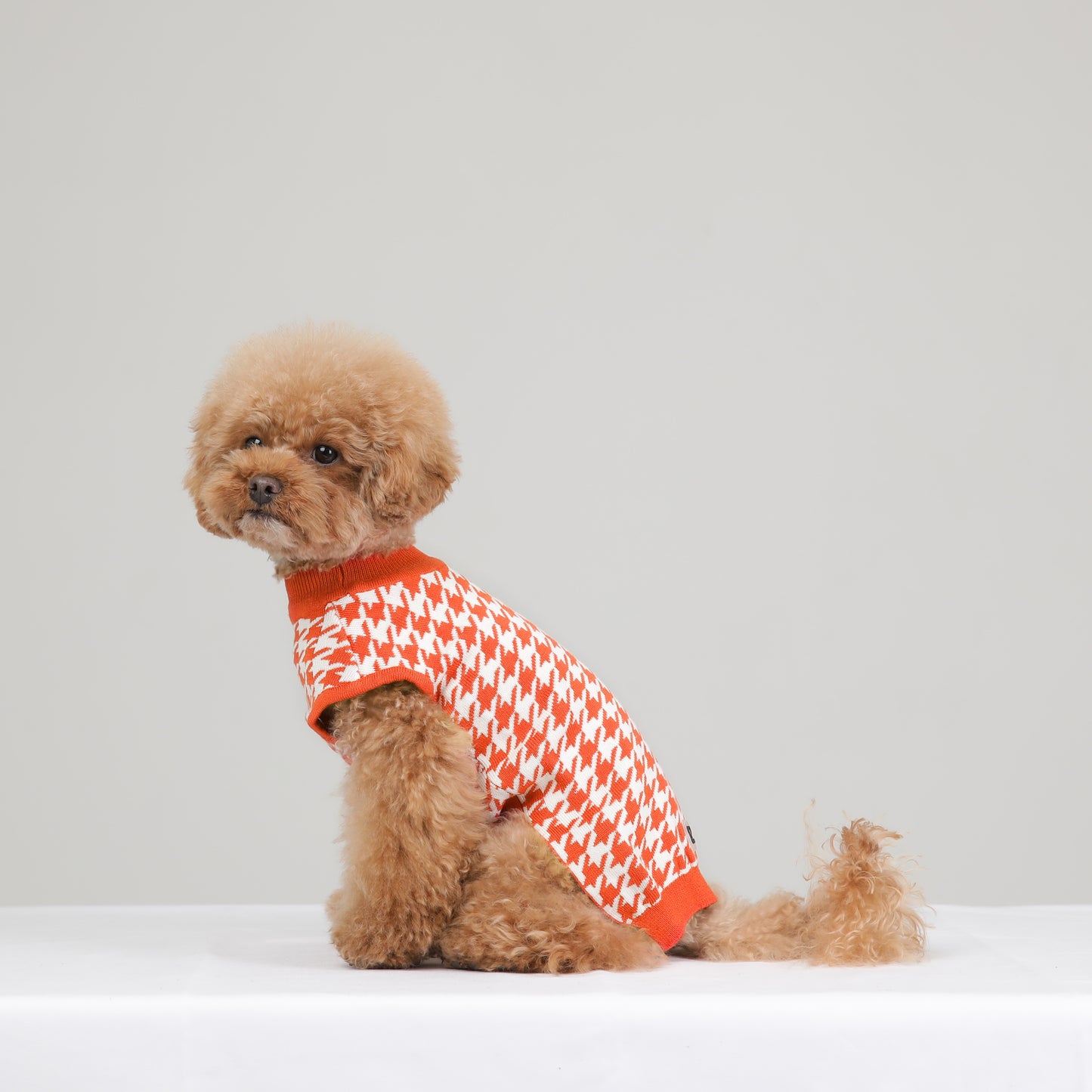 HOUND CHECK KNIT