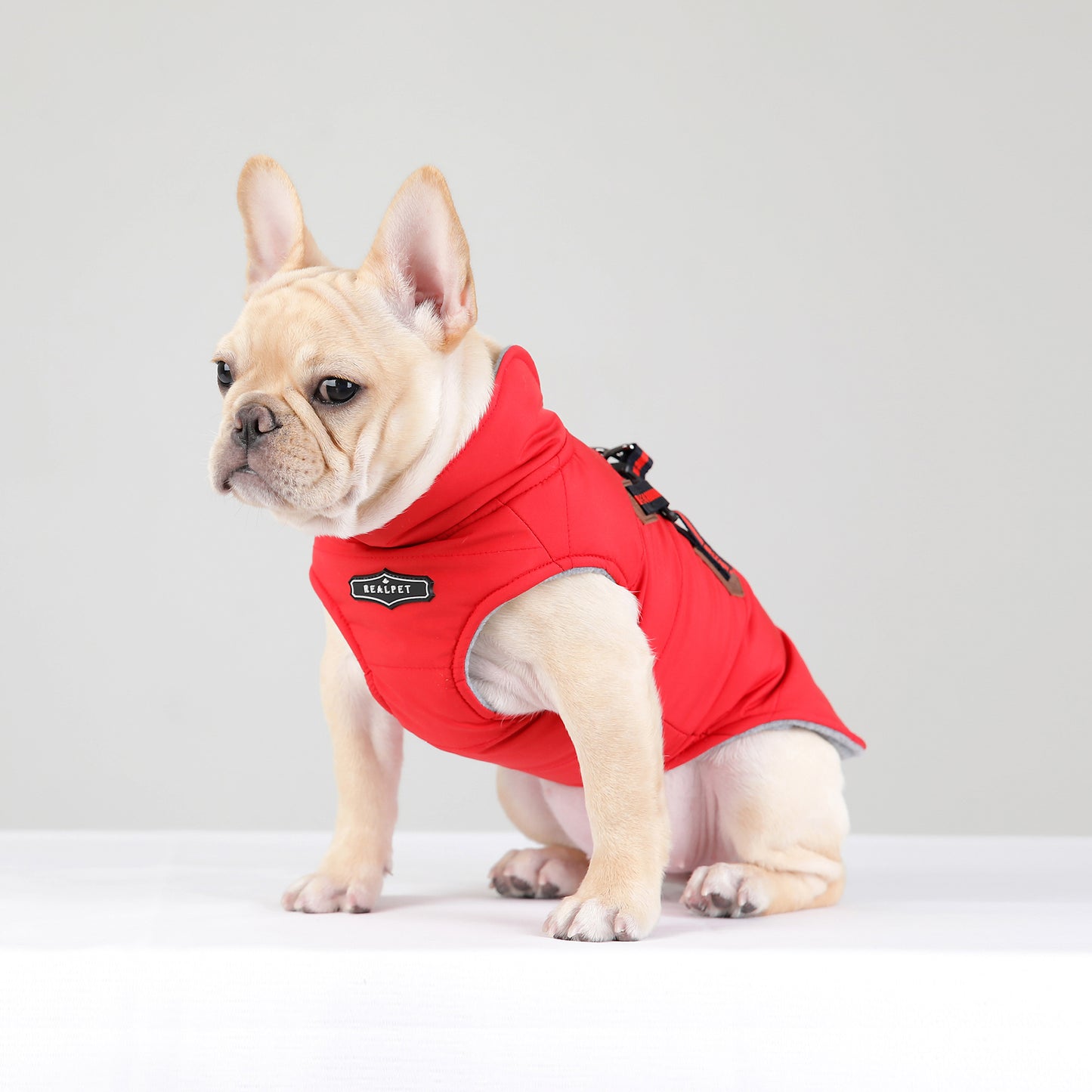 PADDING CHEST JACKET