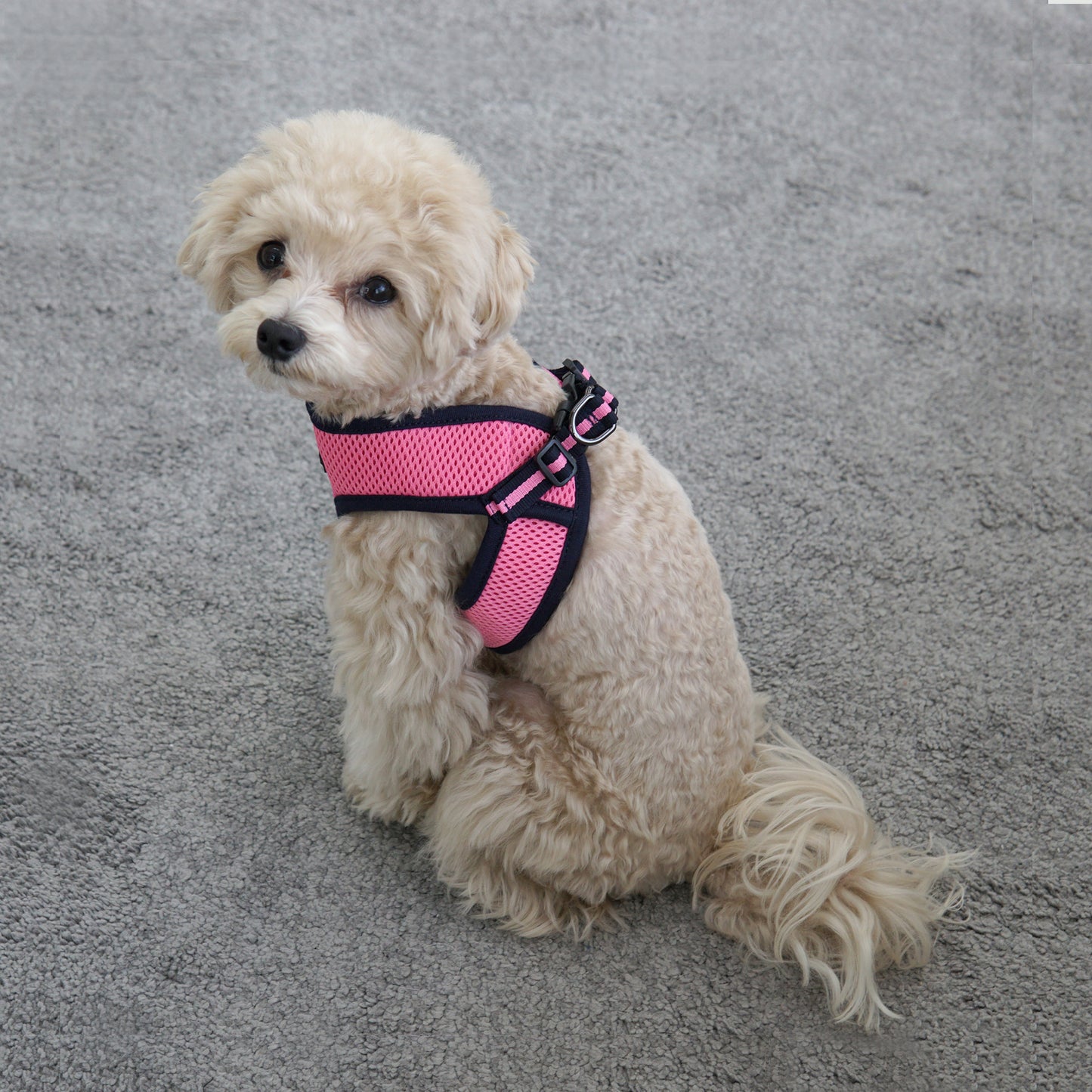 EAZY CONTROL HARNESS