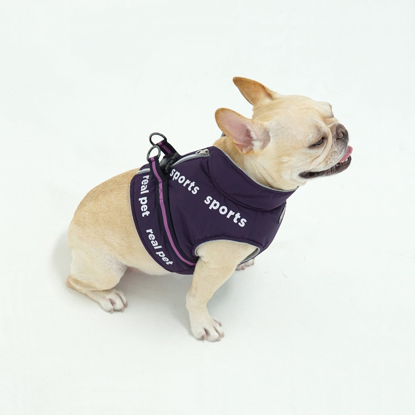 SPORT SHORT PADDING HARNESS