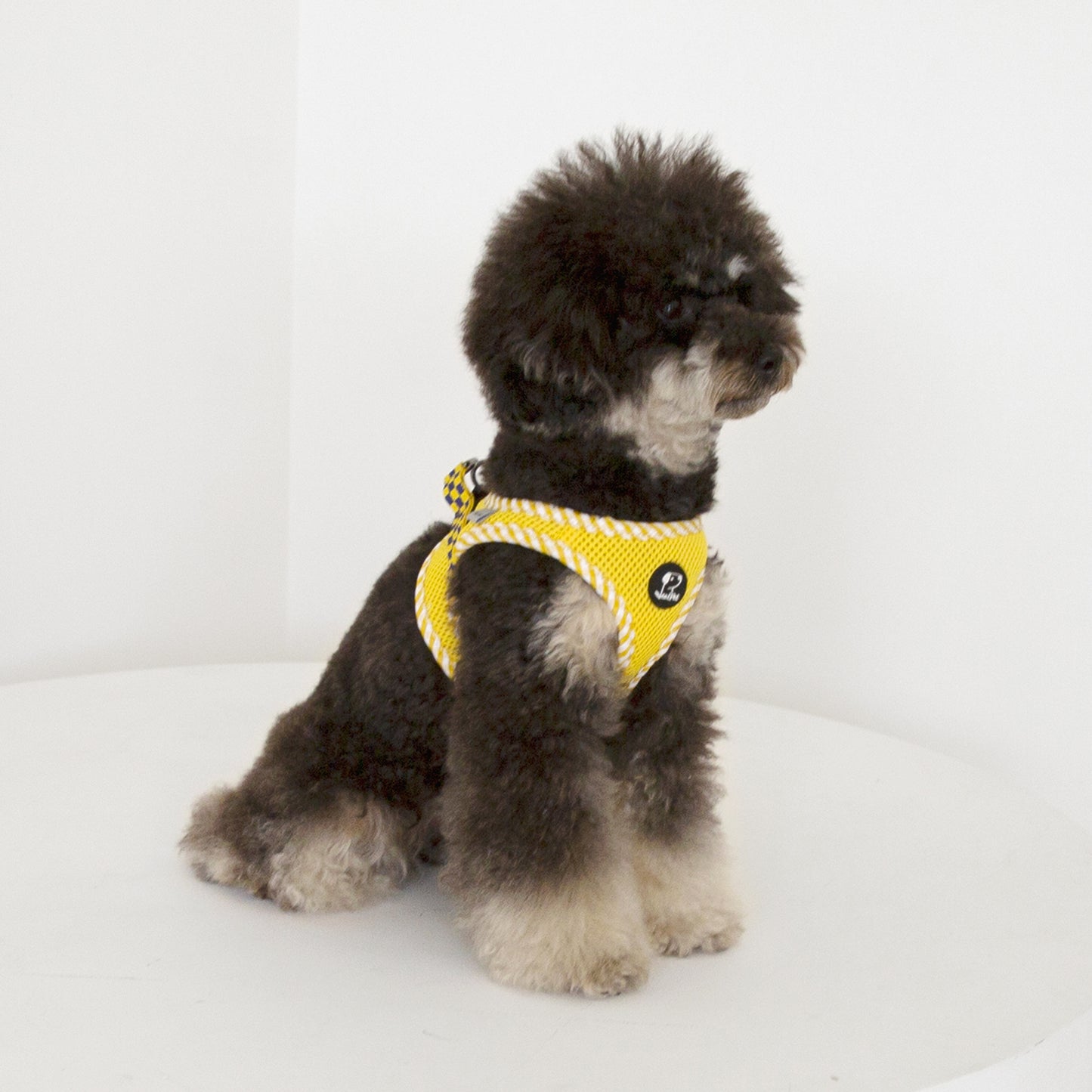 CHECK SLIM HARNESS