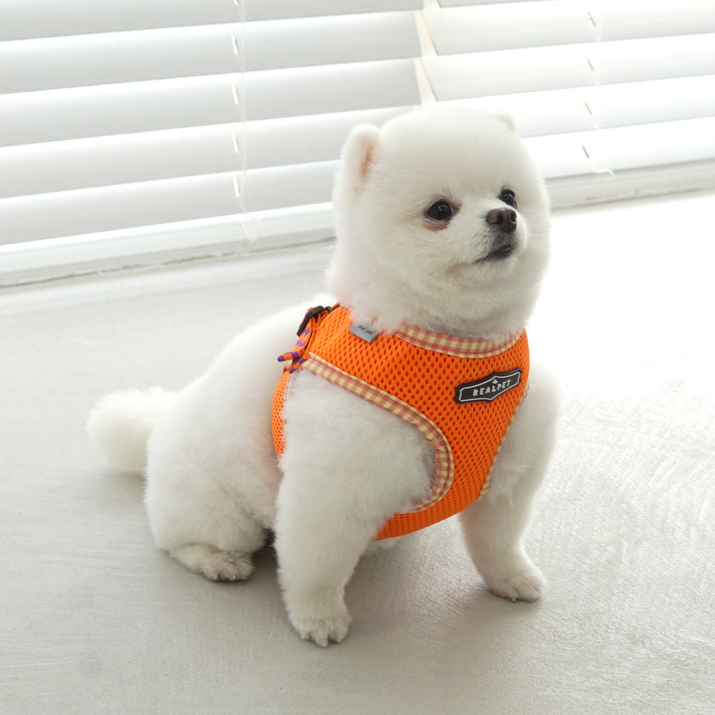 PASTEL CHECK HARNESS