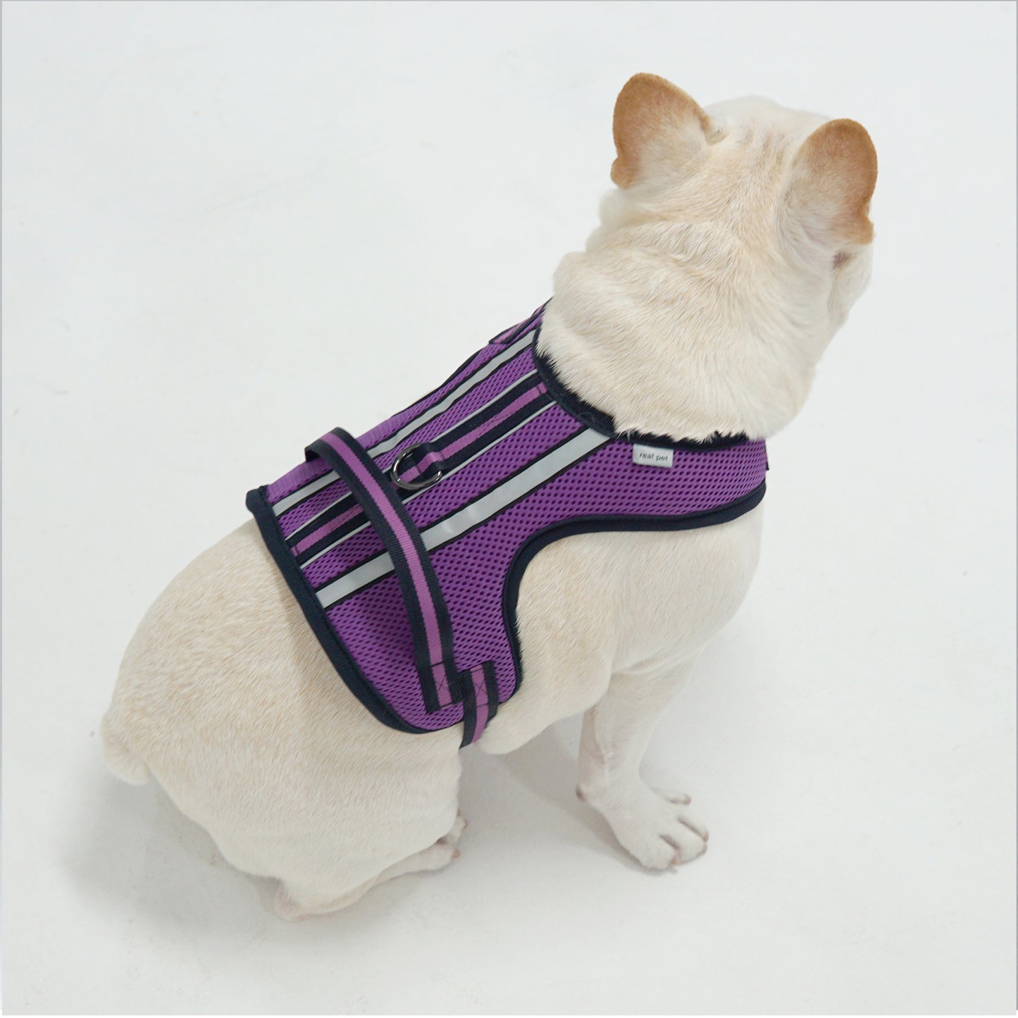 SUPPORT 3M HARNESS