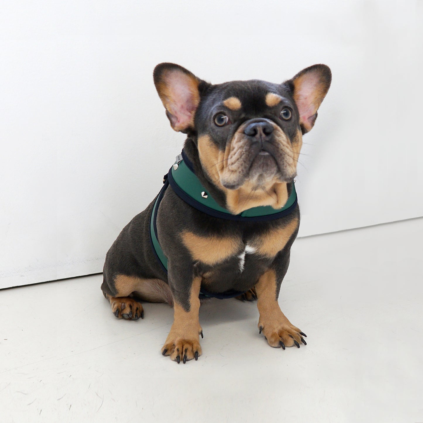 STUD HARNESS