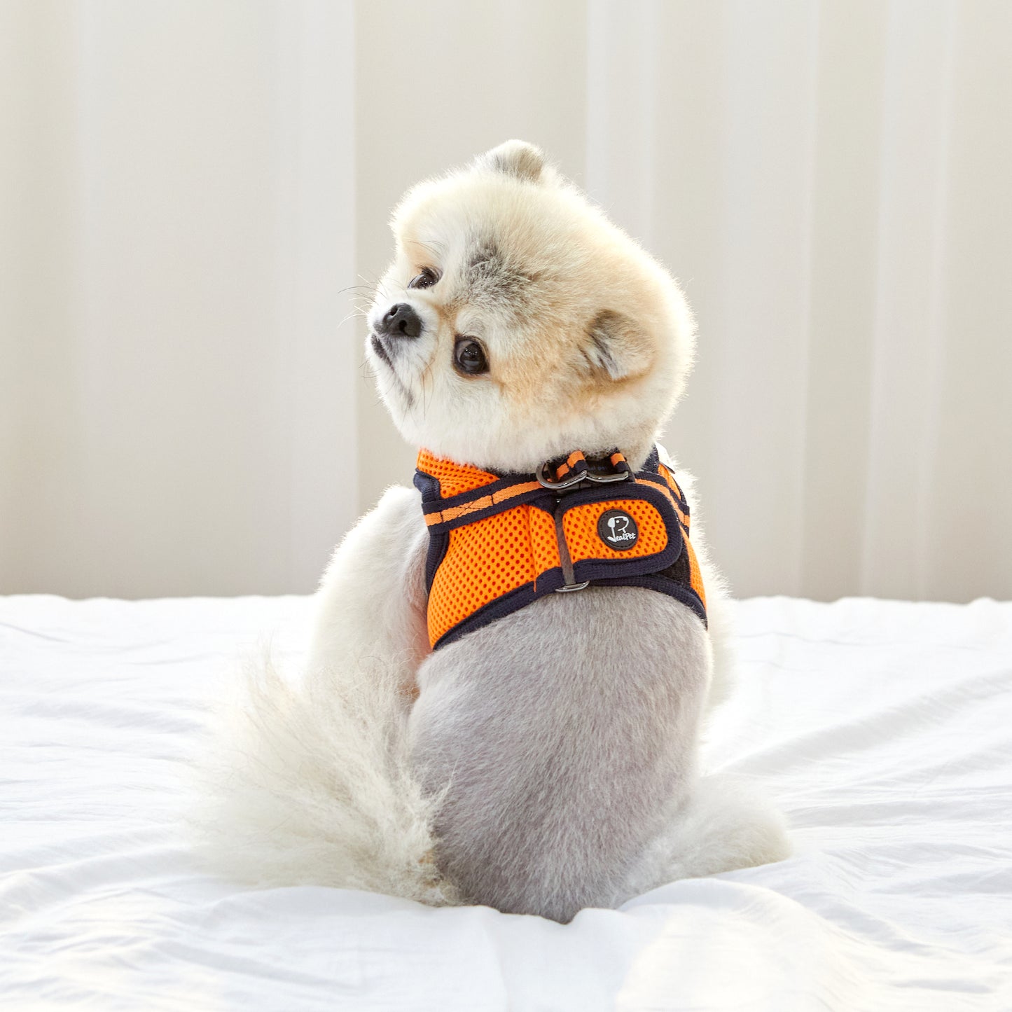 FREE SAFE HARNESS