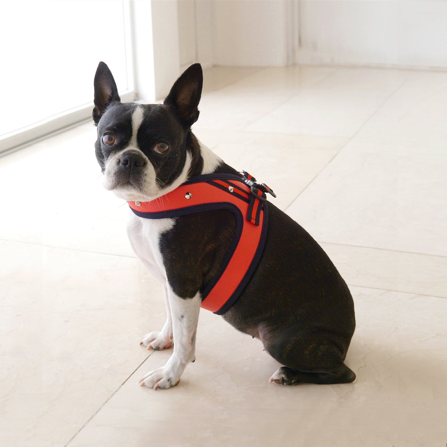 STUD HARNESS