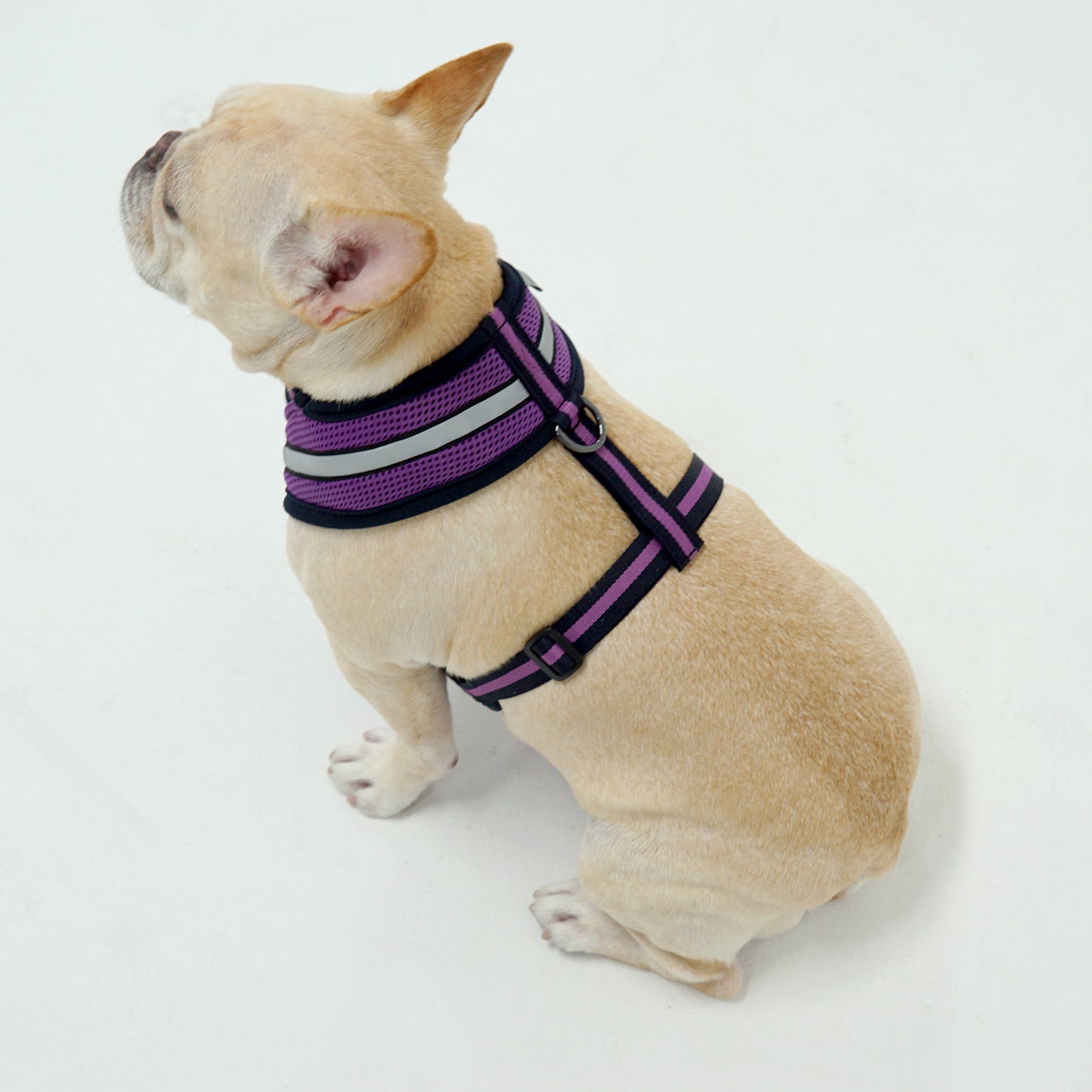 STRETCH 3M HARNESS