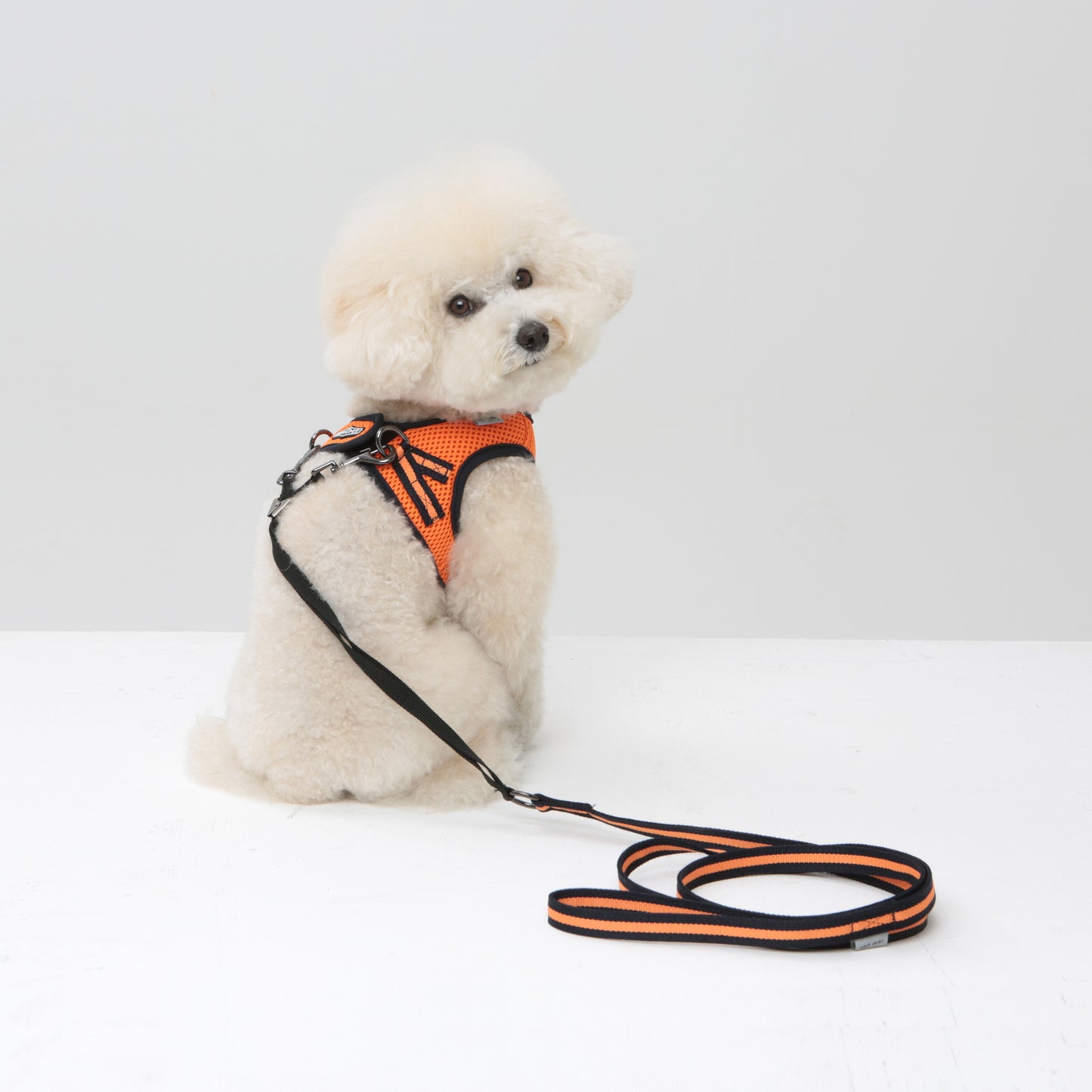 Dog Strong Vest Harness and Lead Set