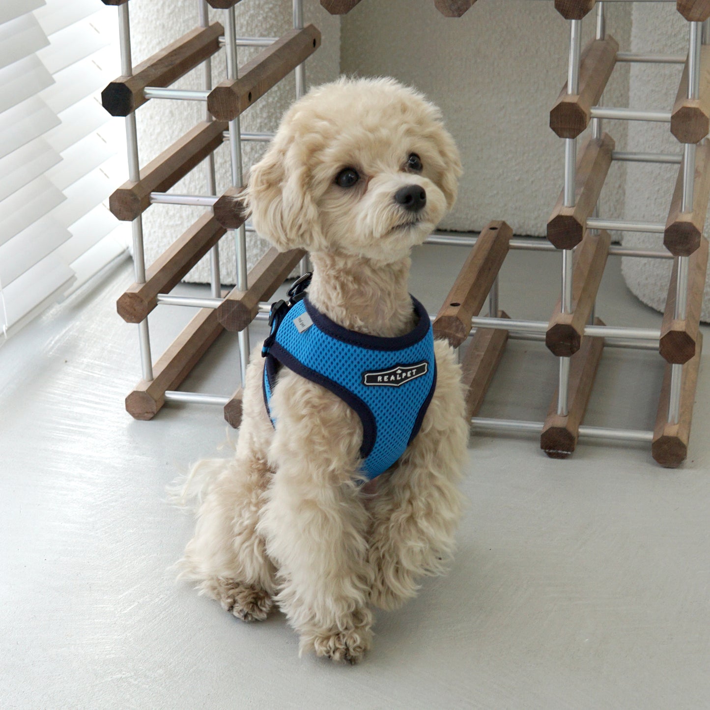 EAZY CONTROL HARNESS