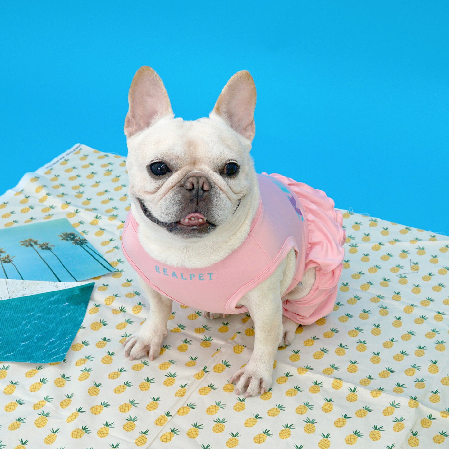 FRILL ALL IN ONE RASHGAURD