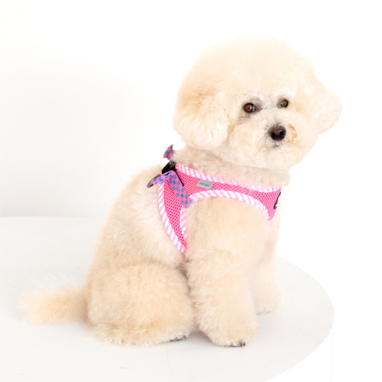 CHECK SLIM HARNESS