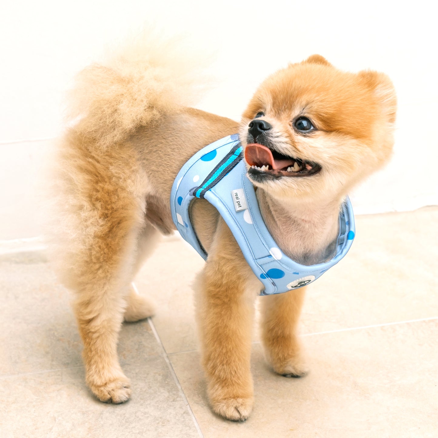 DOT SLIM HARNESS