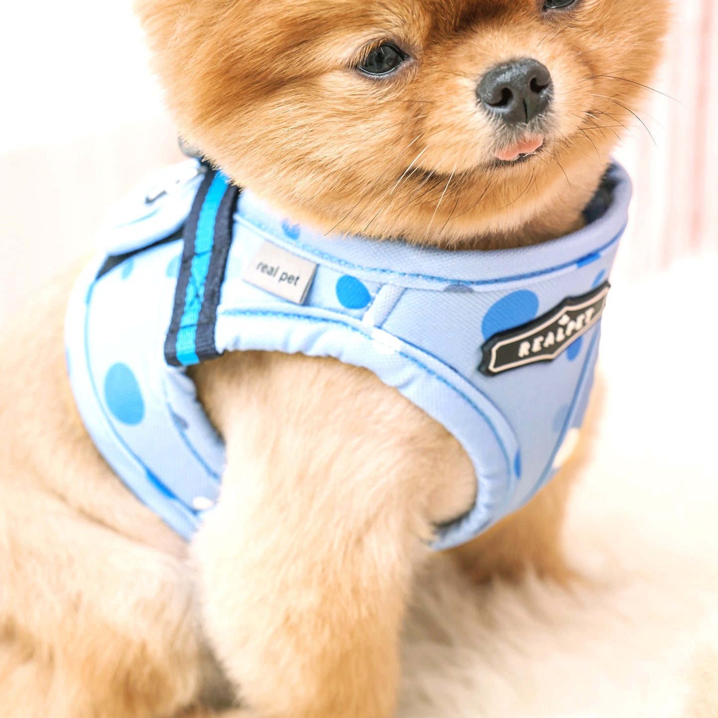 DOT VEST HARNESS