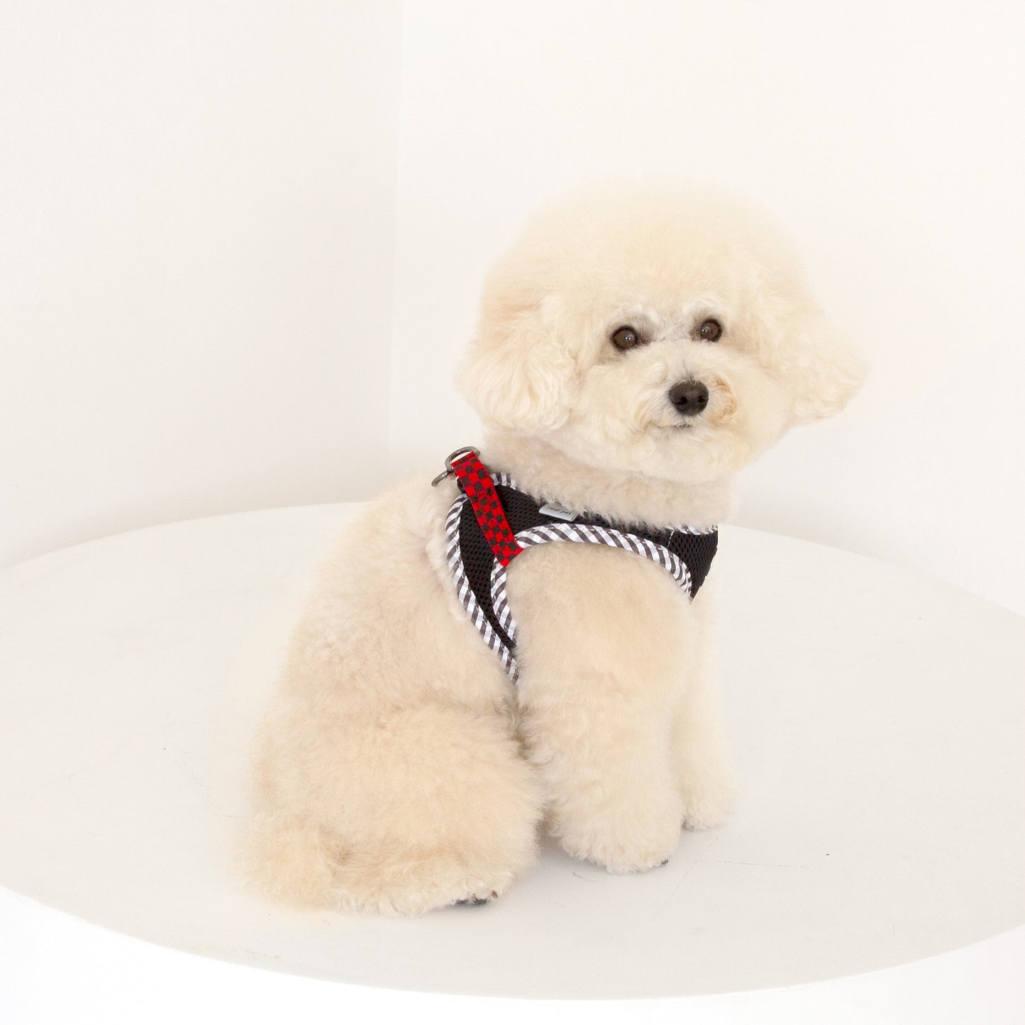 CHECK SLIM HARNESS