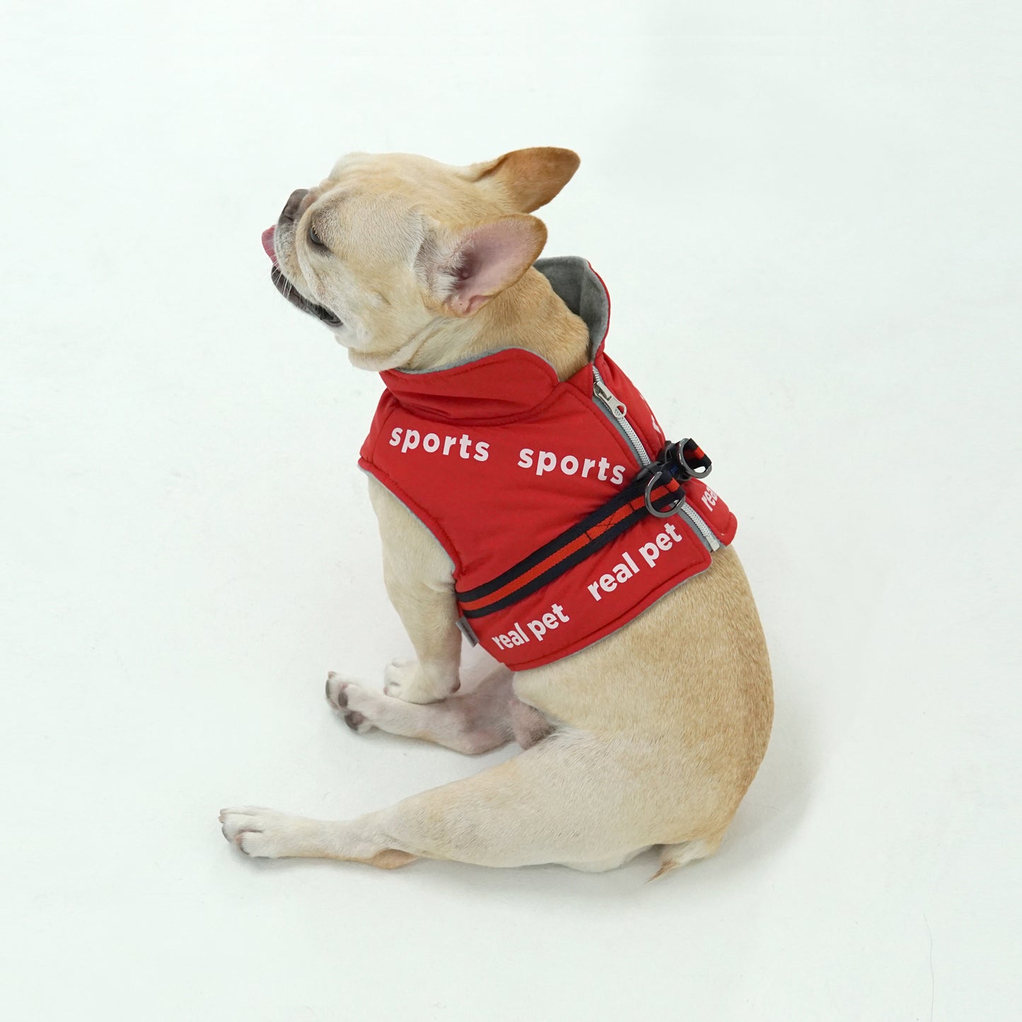 SPORT SHORT PADDING HARNESS