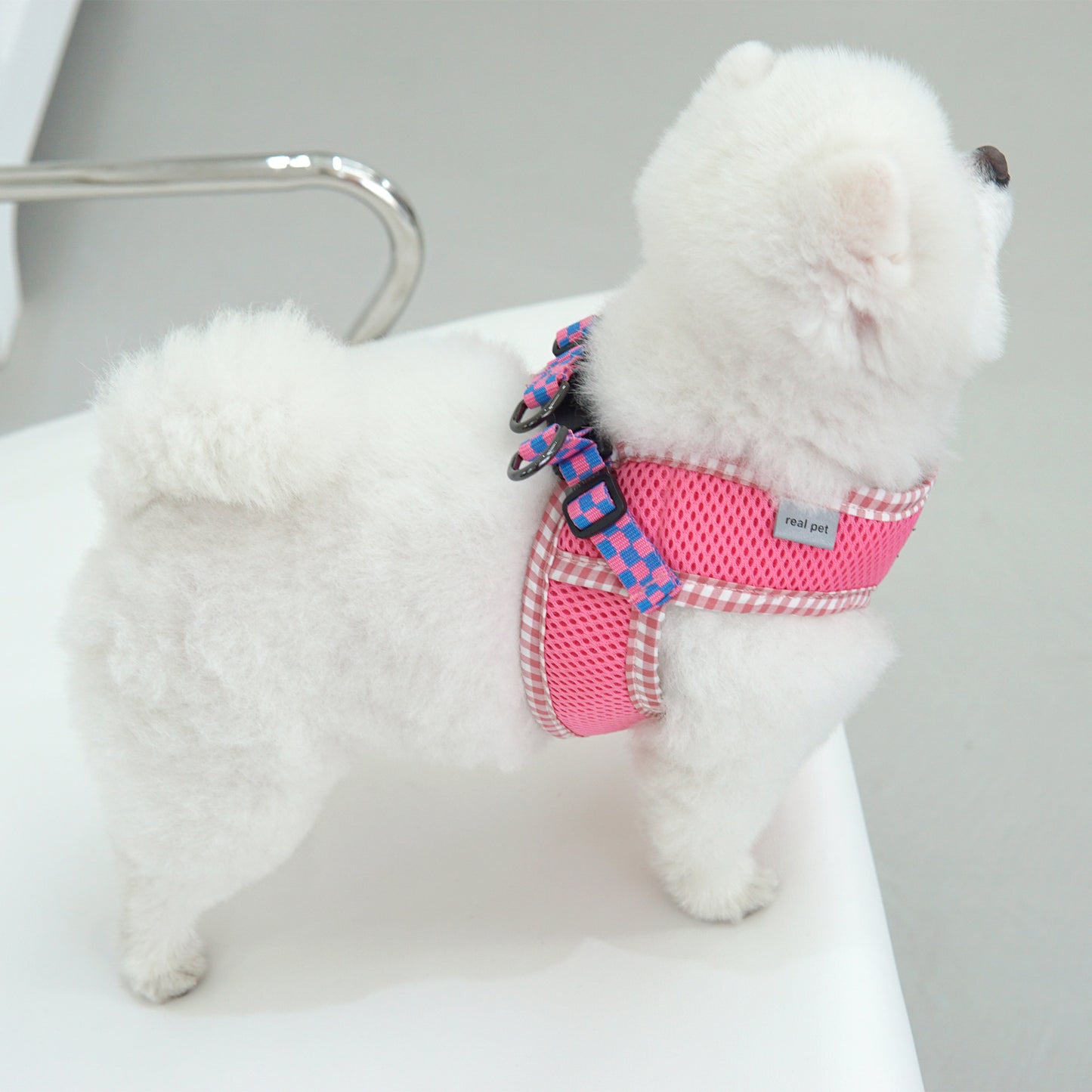 PASTEL CHECK HARNESS