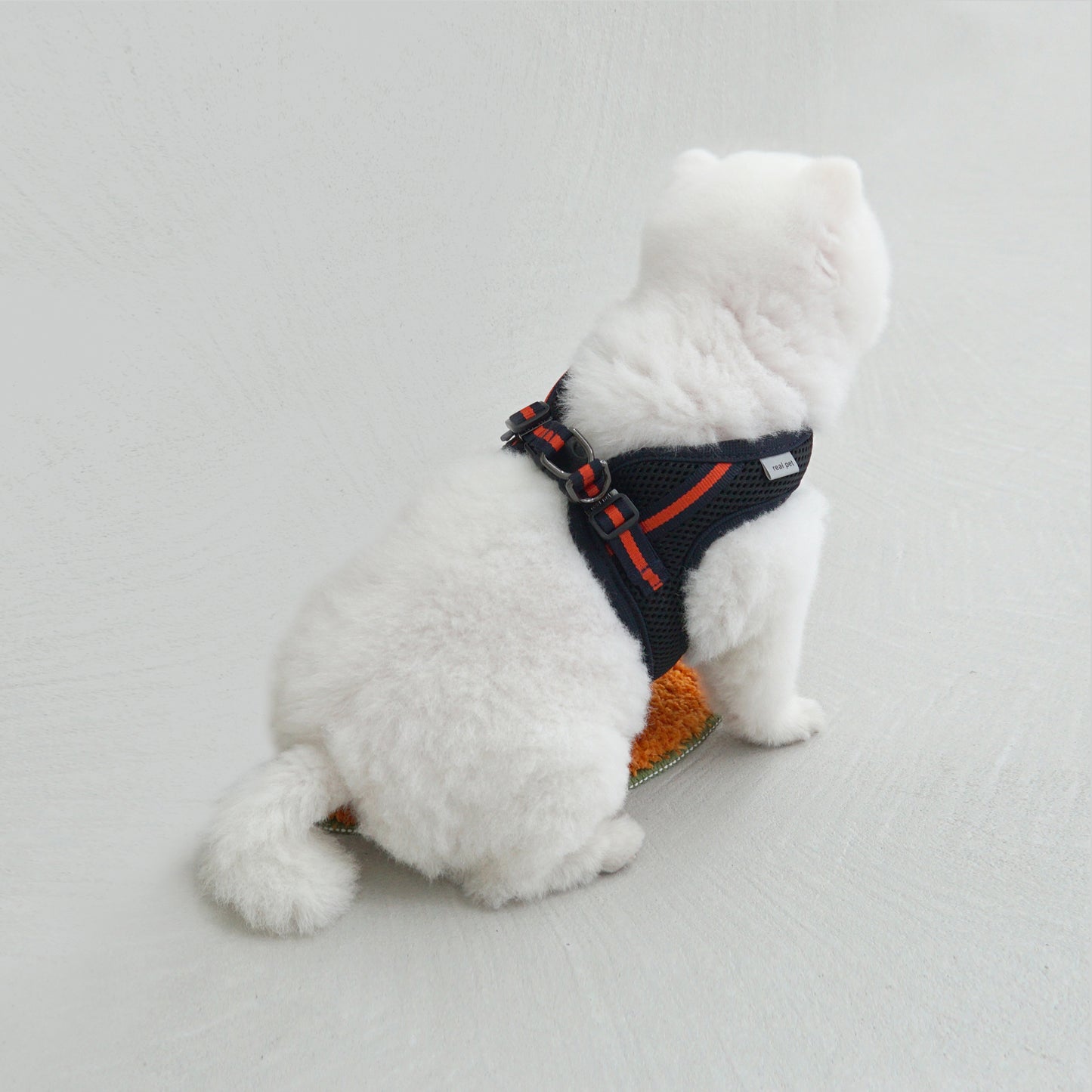 SIMPLY CONTROL HARNESS