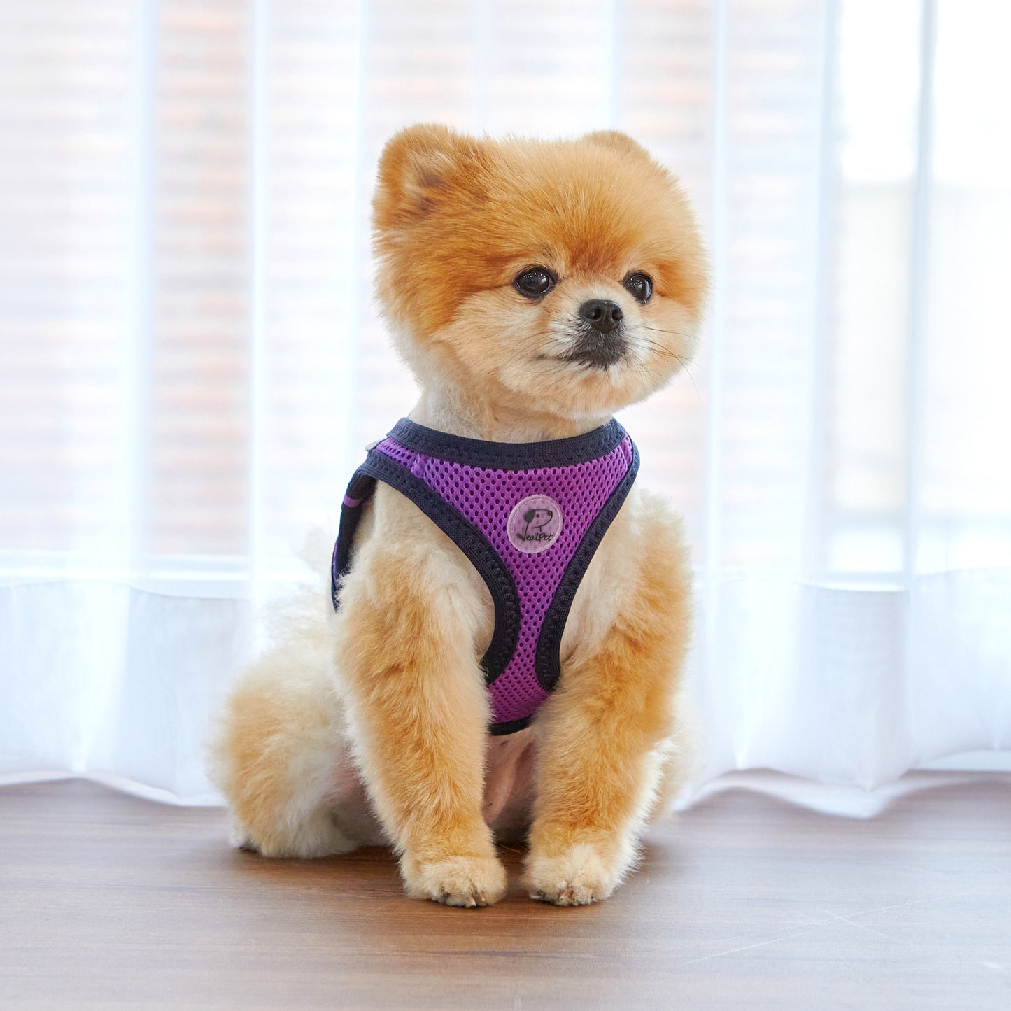 FOUR-SEASON SLIM VEST HARNESS