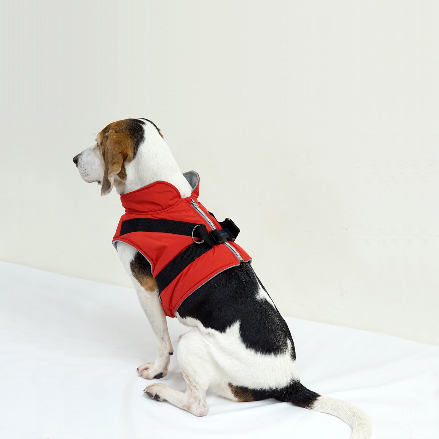 LARGE DOG PADDING HARNESS