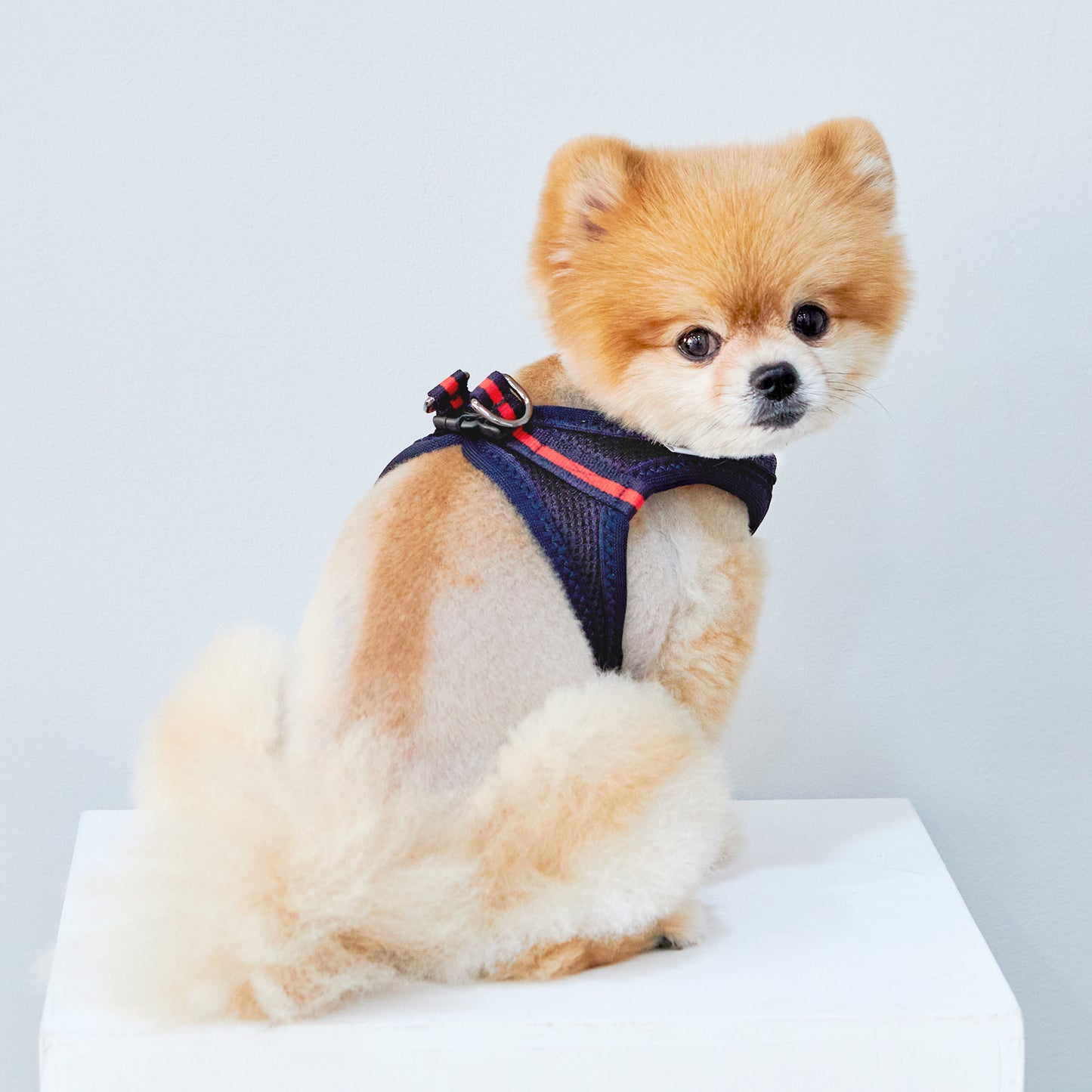 FOUR-SEASON SLIM VEST HARNESS