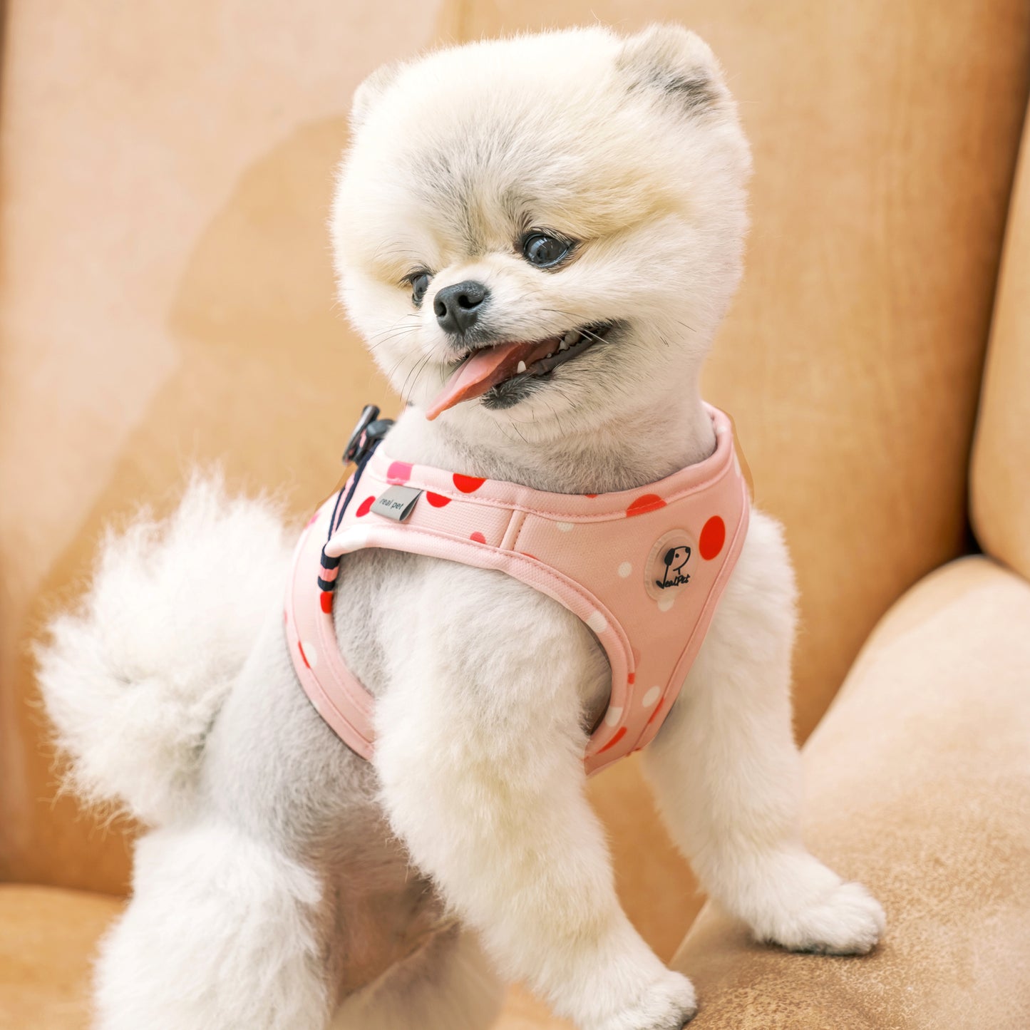 DOT SLIM HARNESS