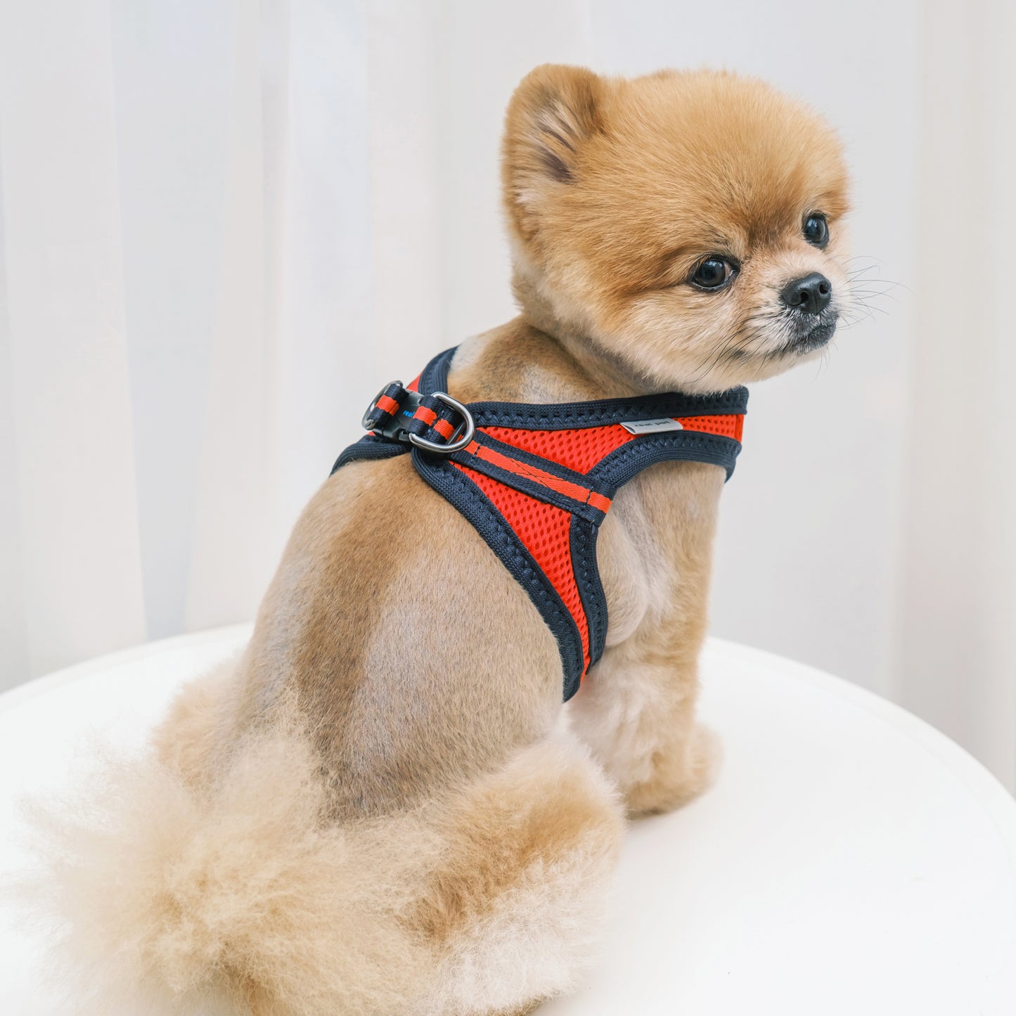FOUR-SEASON SLIM VEST HARNESS