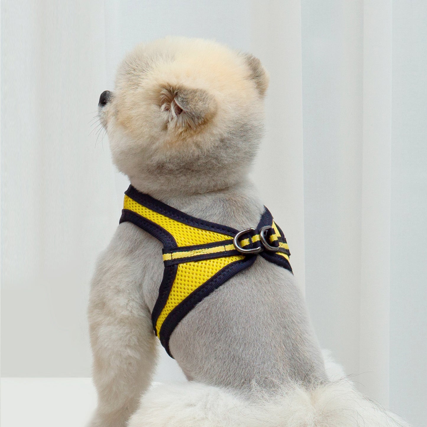 FOUR-SEASON SLIM VEST HARNESS