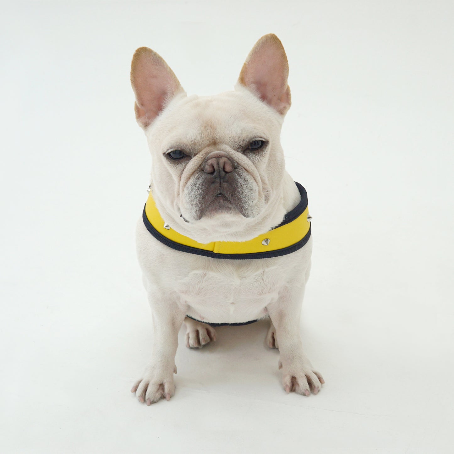STUD HARNESS