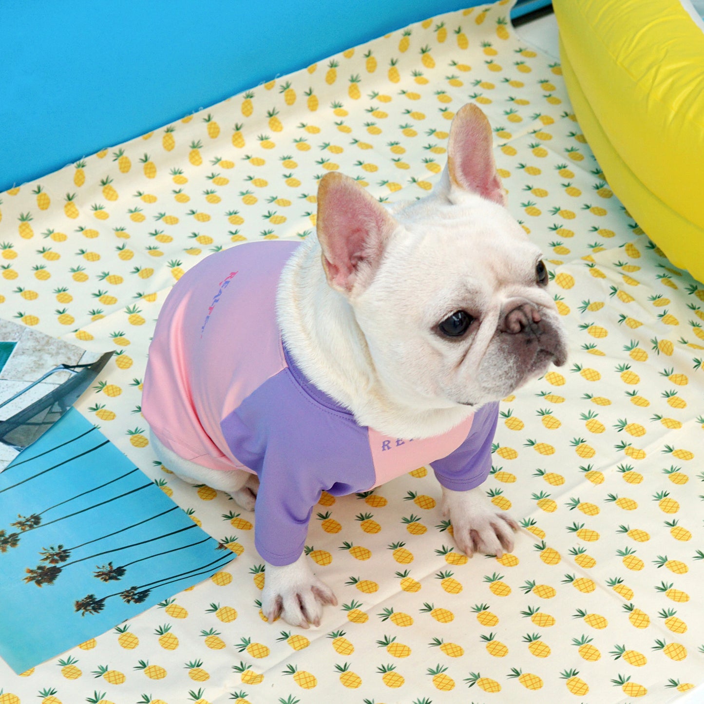 COLORPOP ROUND RASHGAURD