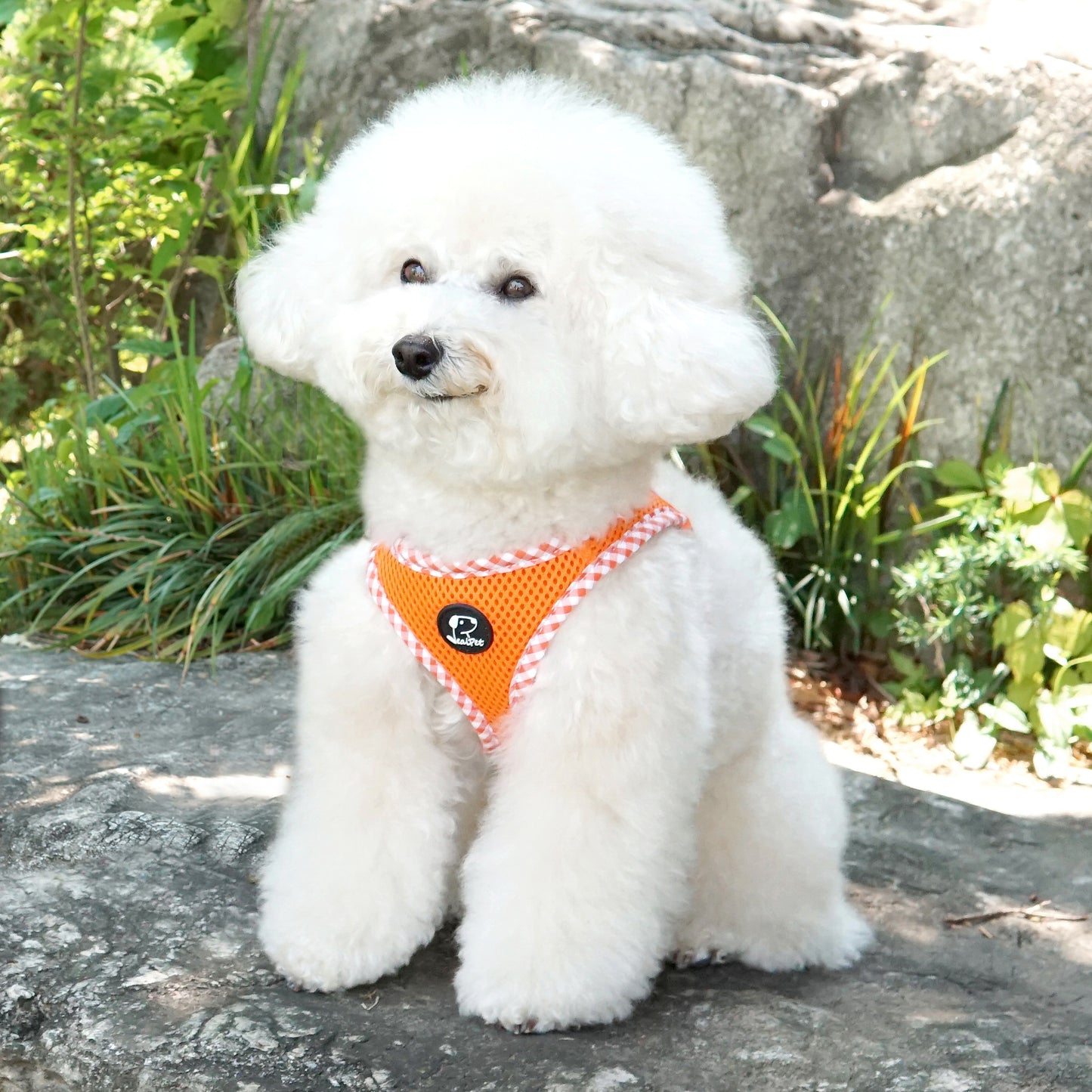 CHECK SLIM HARNESS