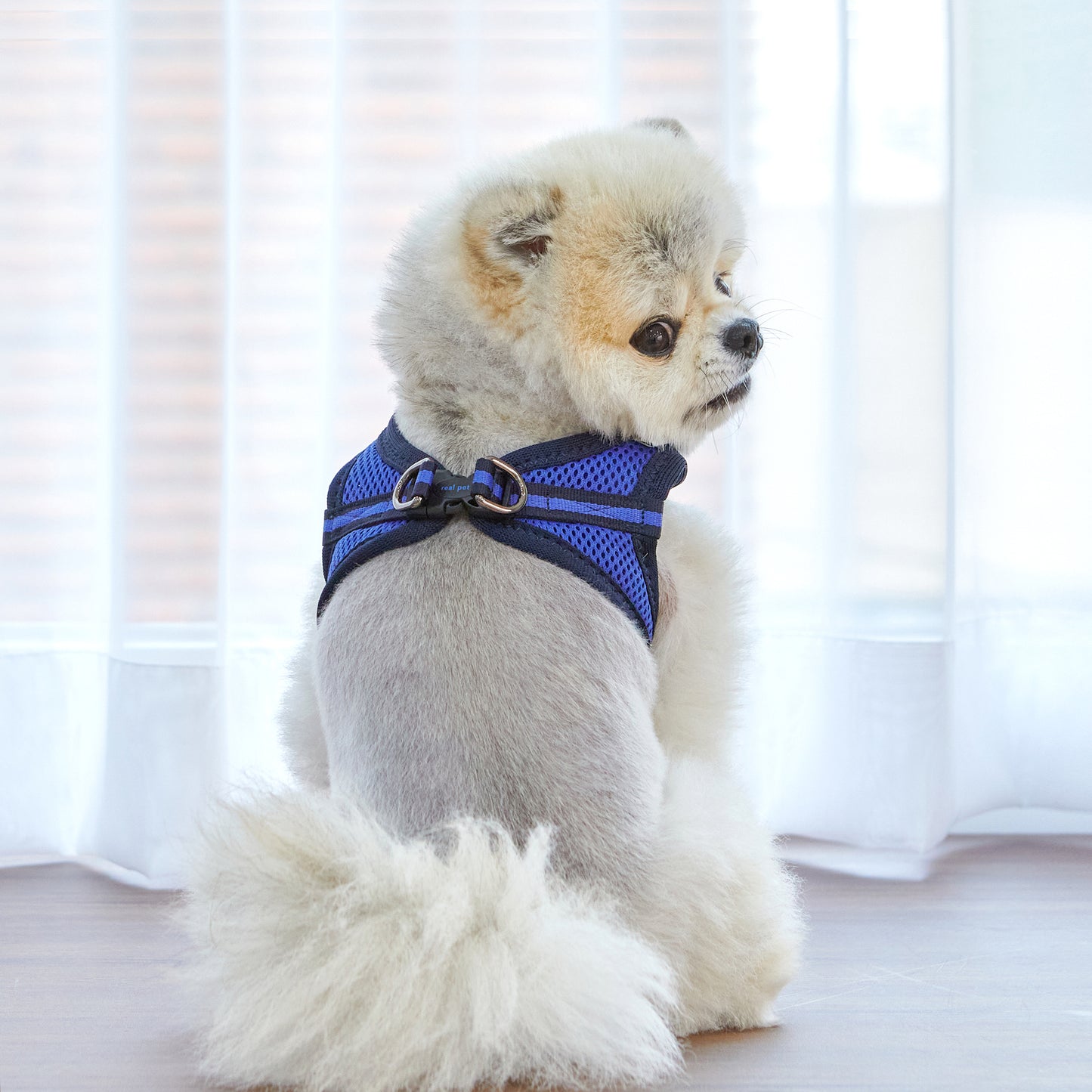 FOUR-SEASON SLIM VEST HARNESS