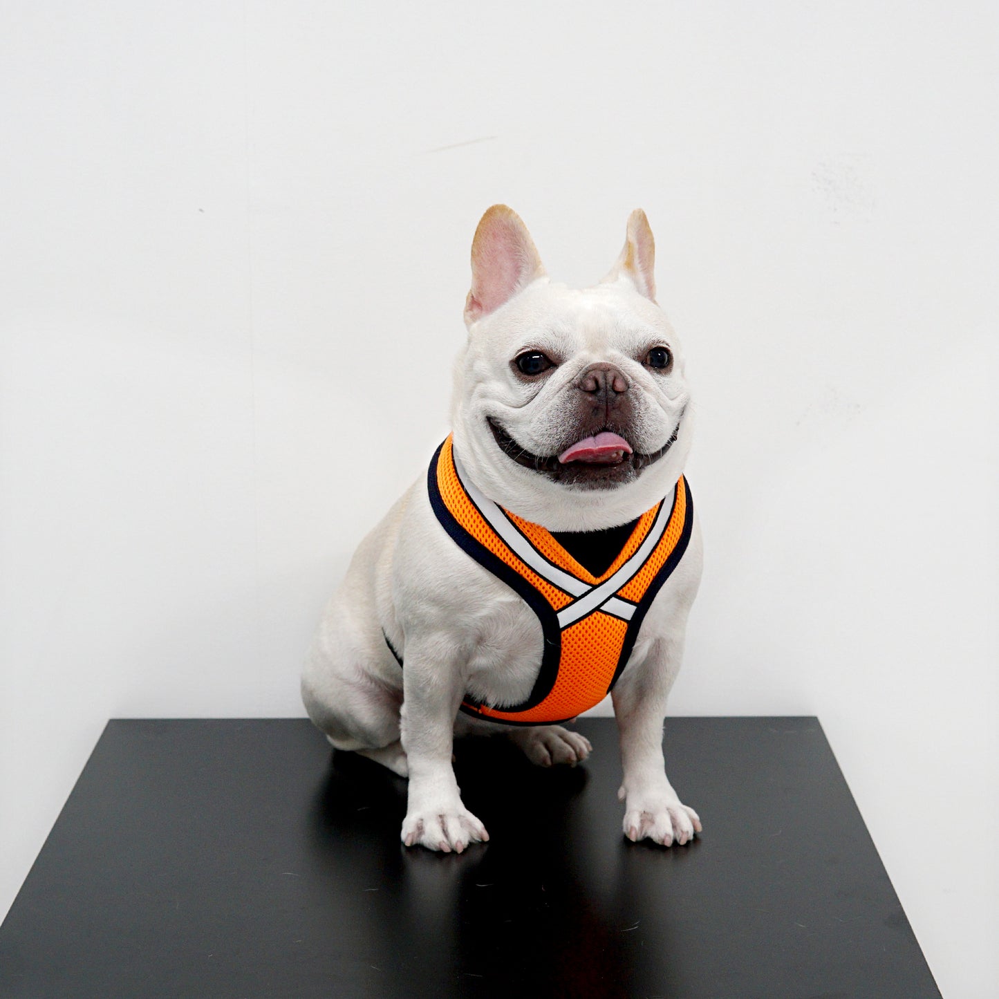STRETCH 3M HARNESS