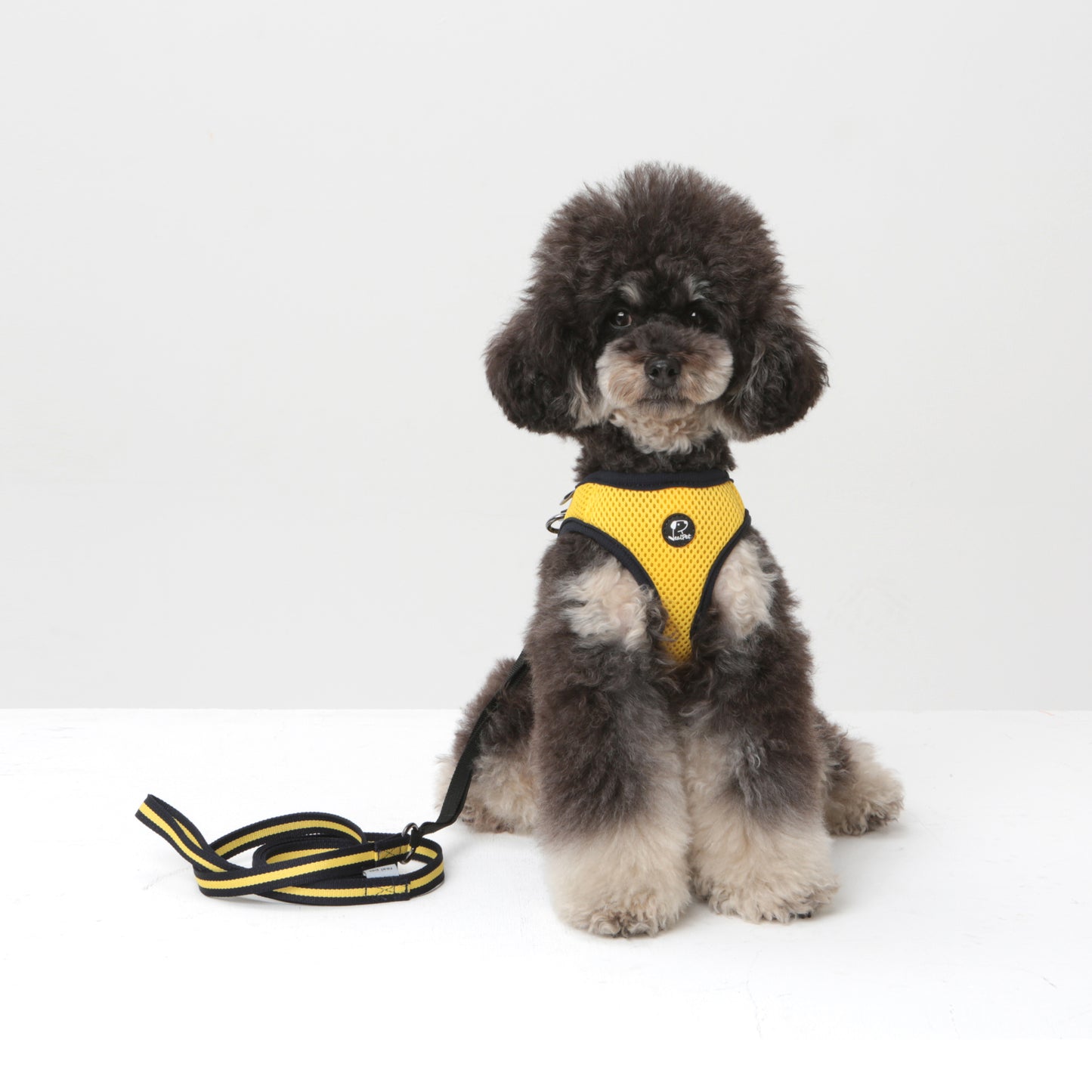 Dog Strong Vest Harness and Lead Set