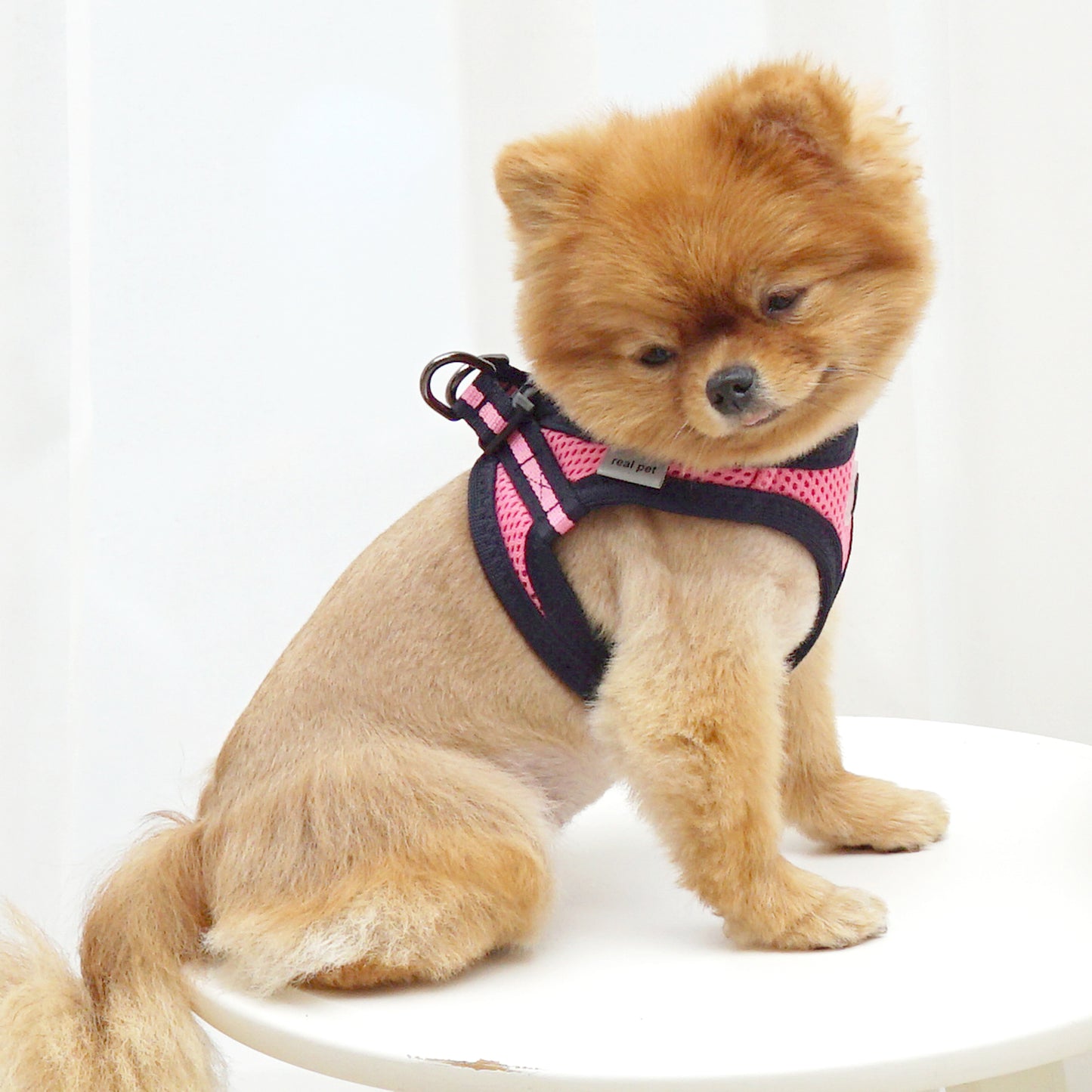 FOUR-SEASON SLIM VEST HARNESS
