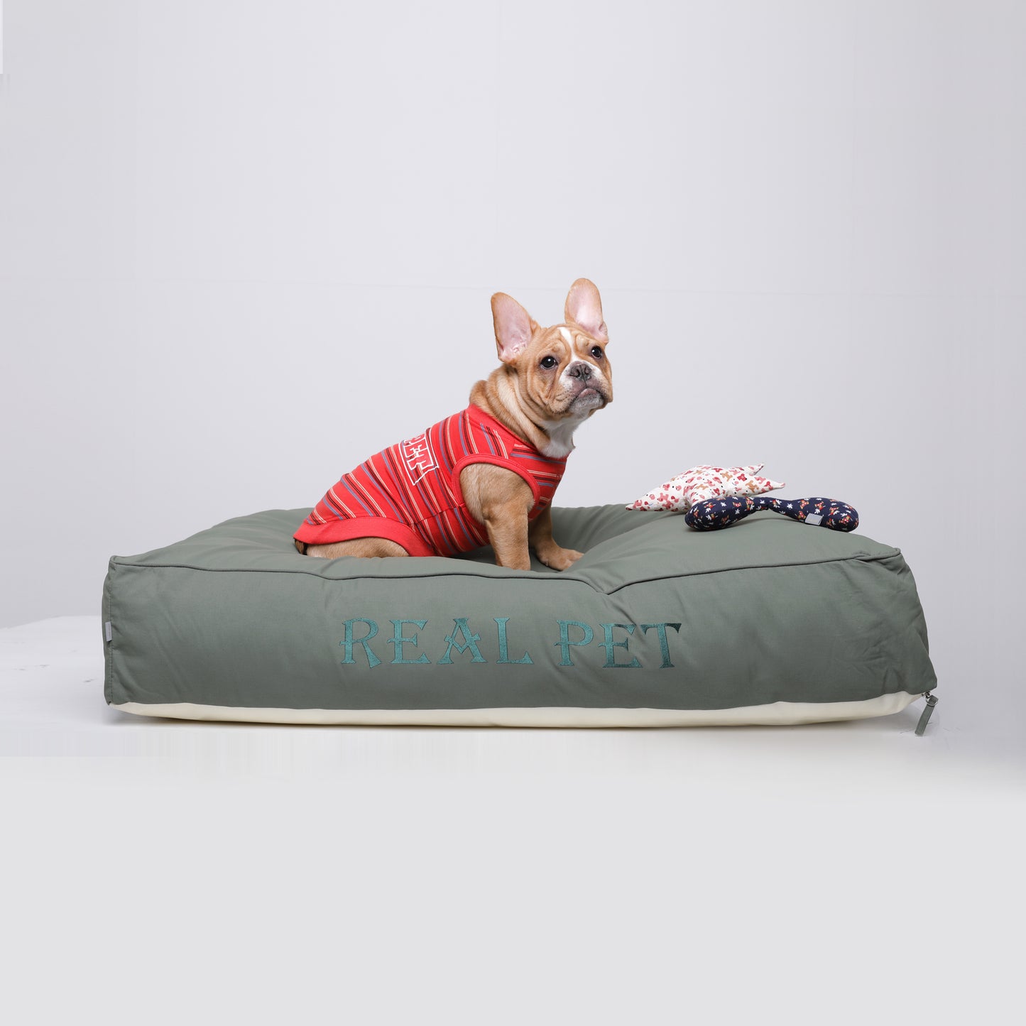 MODERN CUSHION