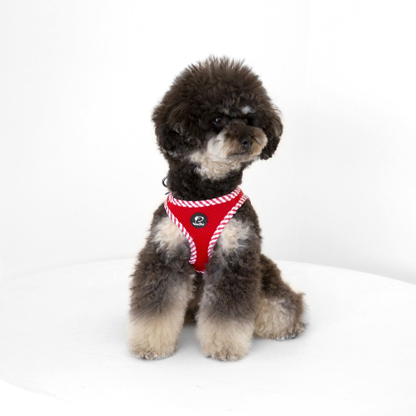 CHECK SLIM HARNESS