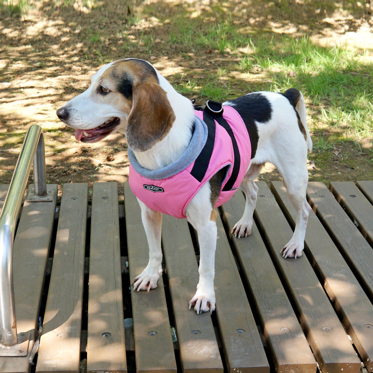 LARGE DOG PADDING HARNESS