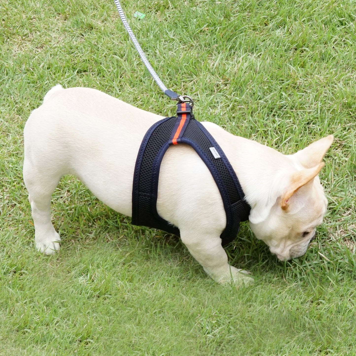 FOUR-SEASON SLIM VEST HARNESS
