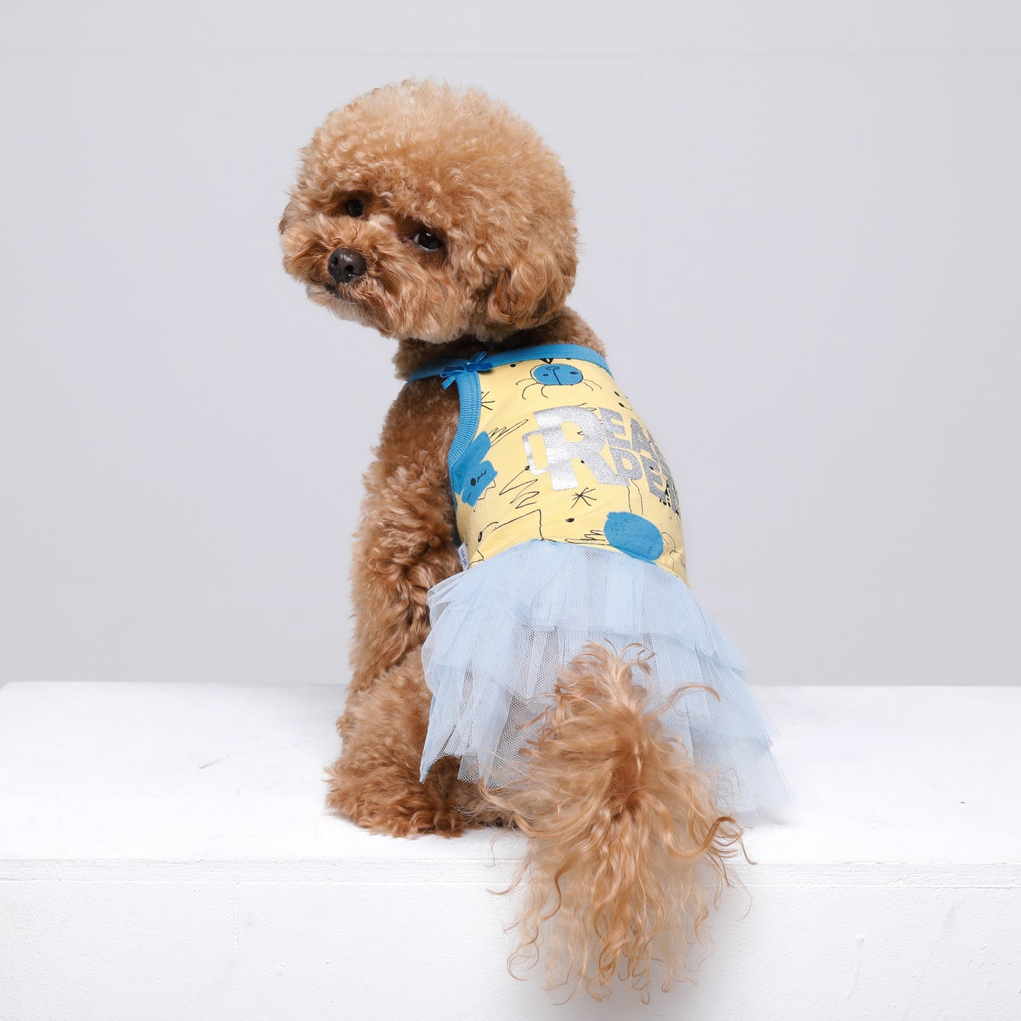 PETIT BEBE DRESS