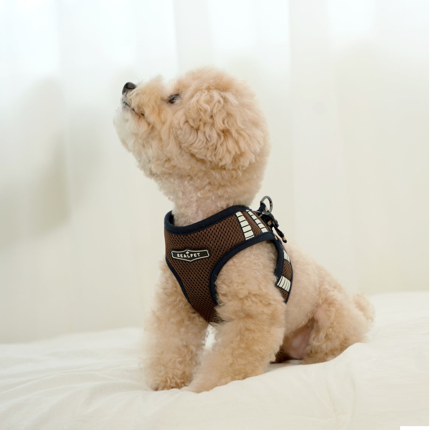 SAFE GLOW HARNESS