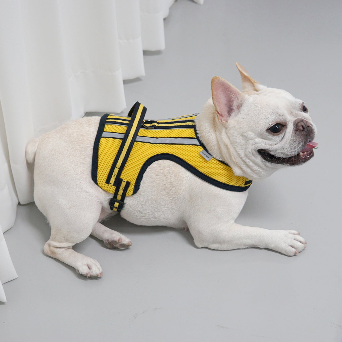 SUPPORT 3M HARNESS
