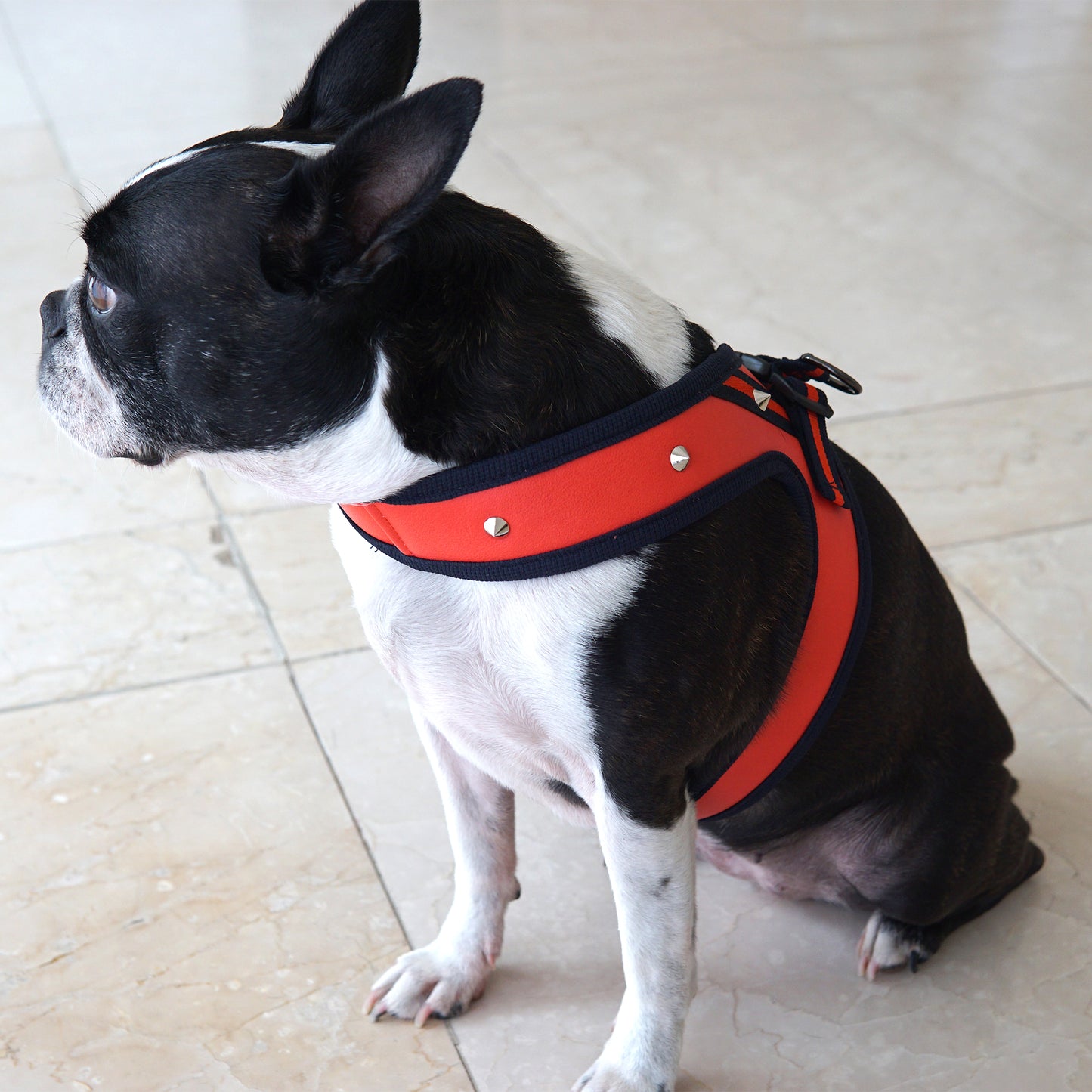 STUD HARNESS