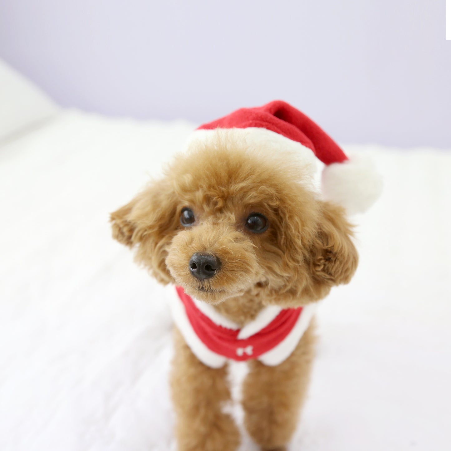 CHRISTMAS HAT/RED