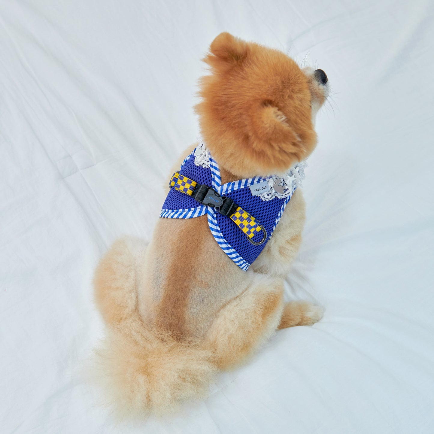 NECK LACE PENDANT HARNESS