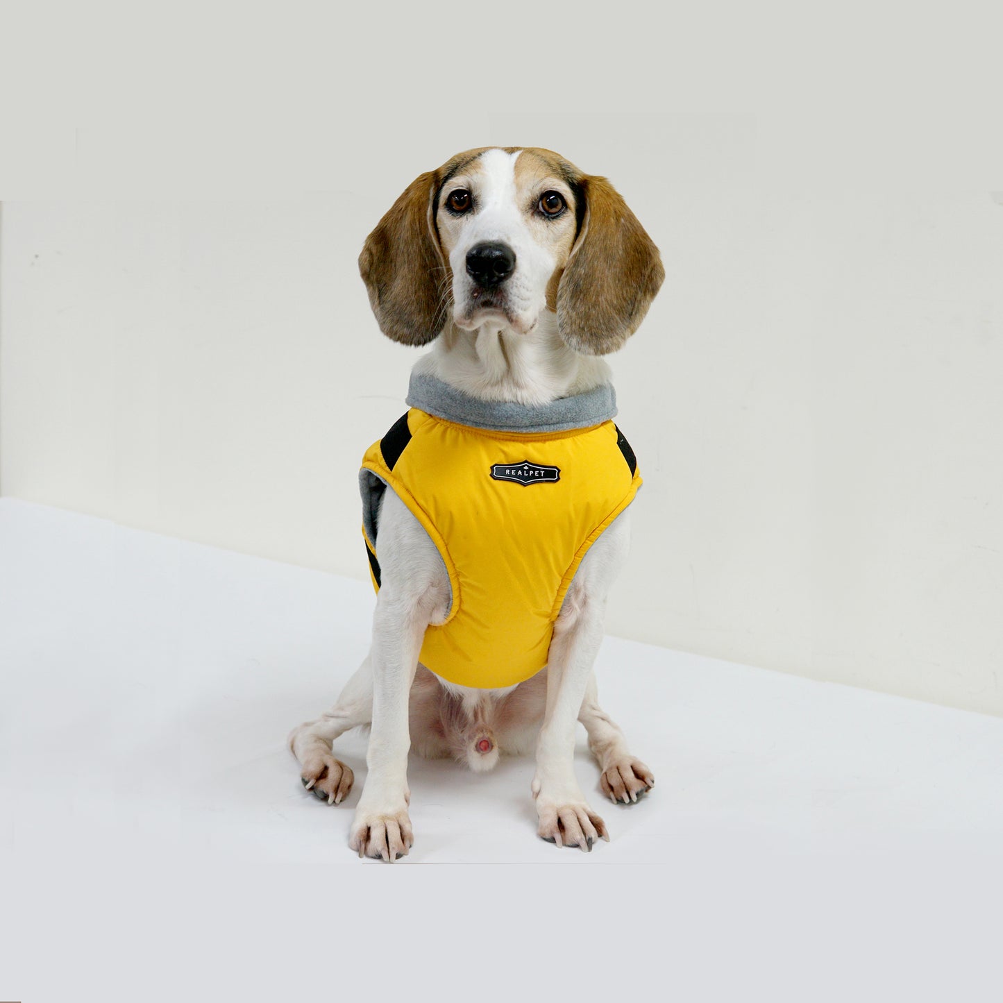 LARGE DOG PADDING HARNESS