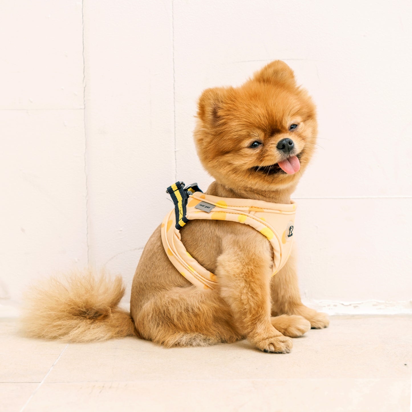 DOT SLIM HARNESS