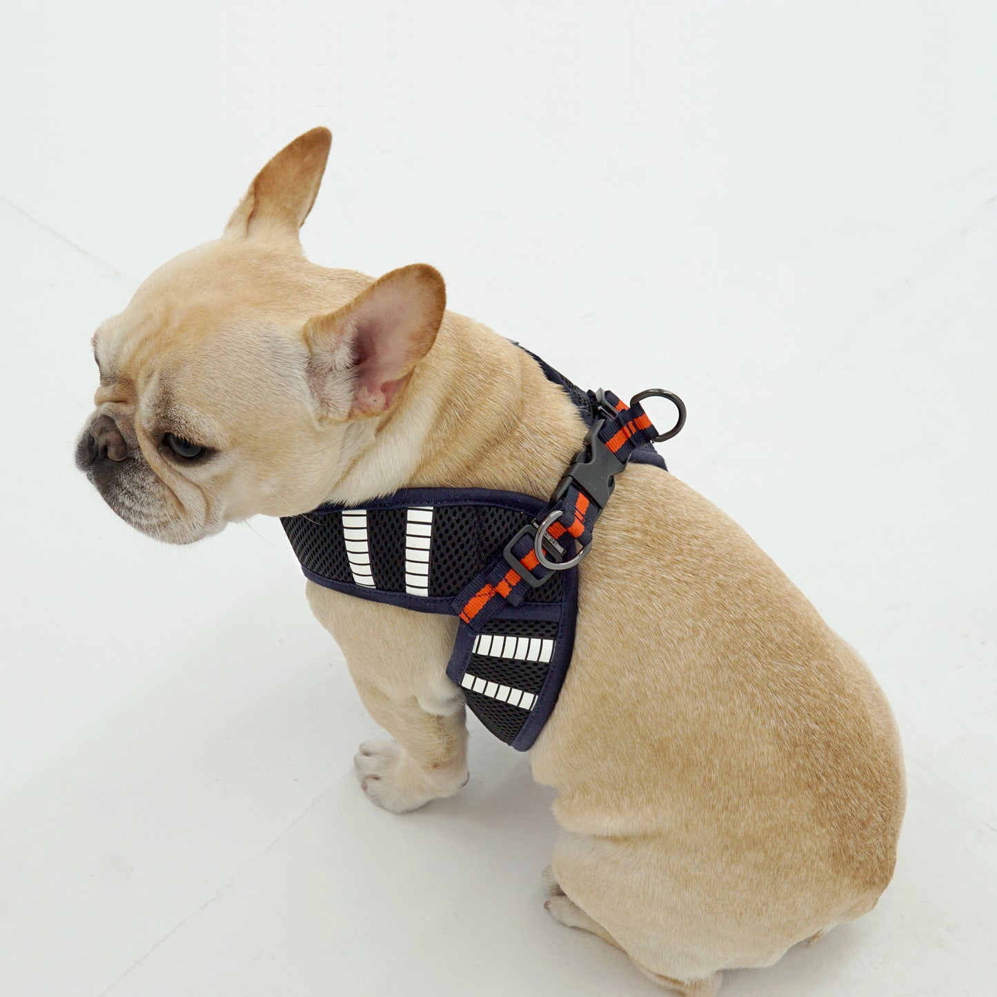 SAFE GLOW HARNESS