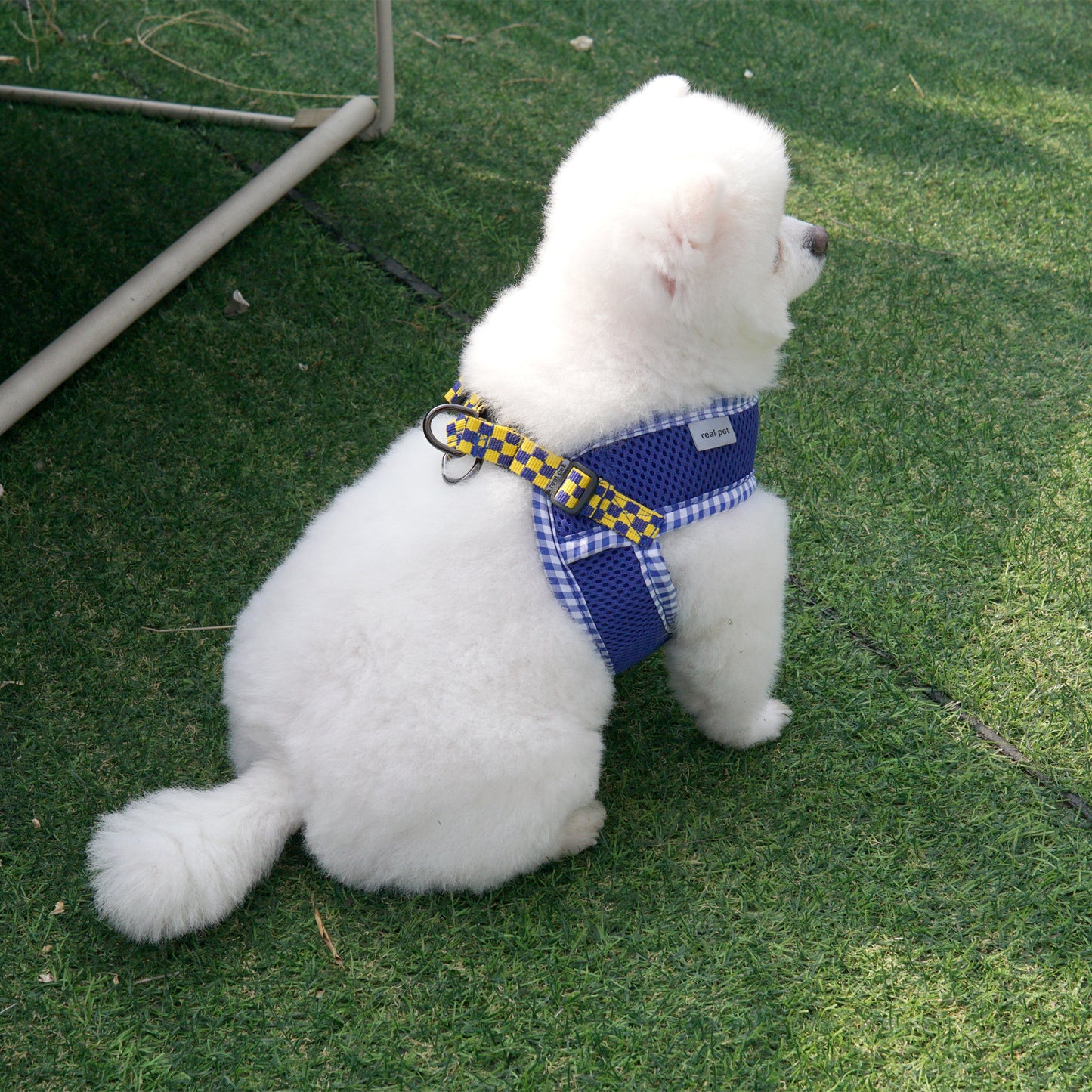 PASTEL CHECK HARNESS