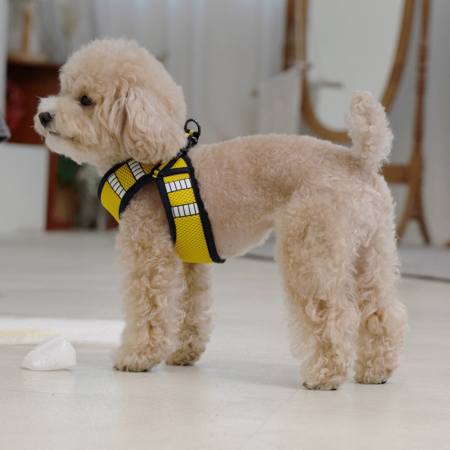 SAFE GLOW HARNESS